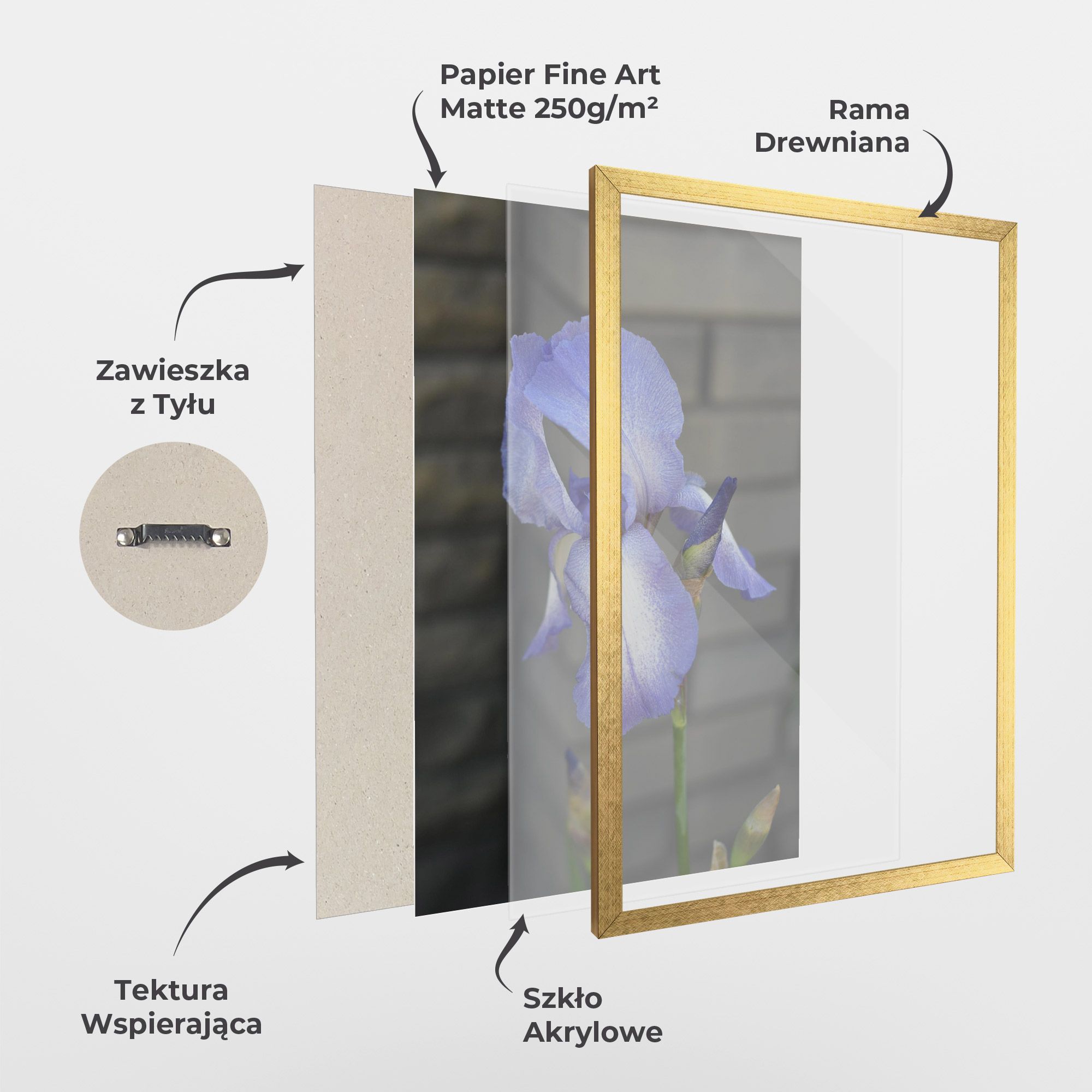 Purple Iris On Gray mockup 1