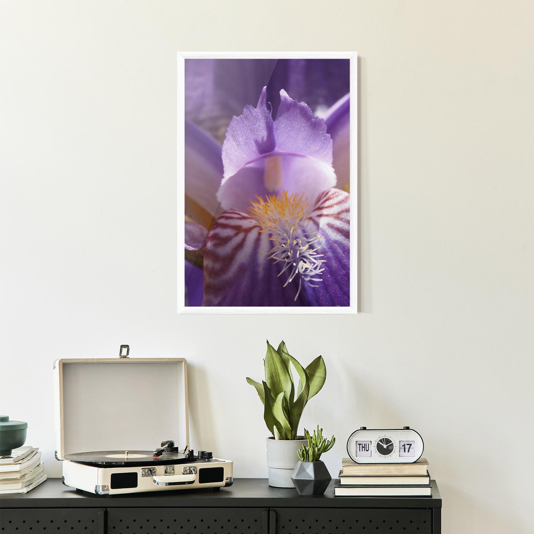 Plakat w Ramie Purple Iris Close Up mockup 2