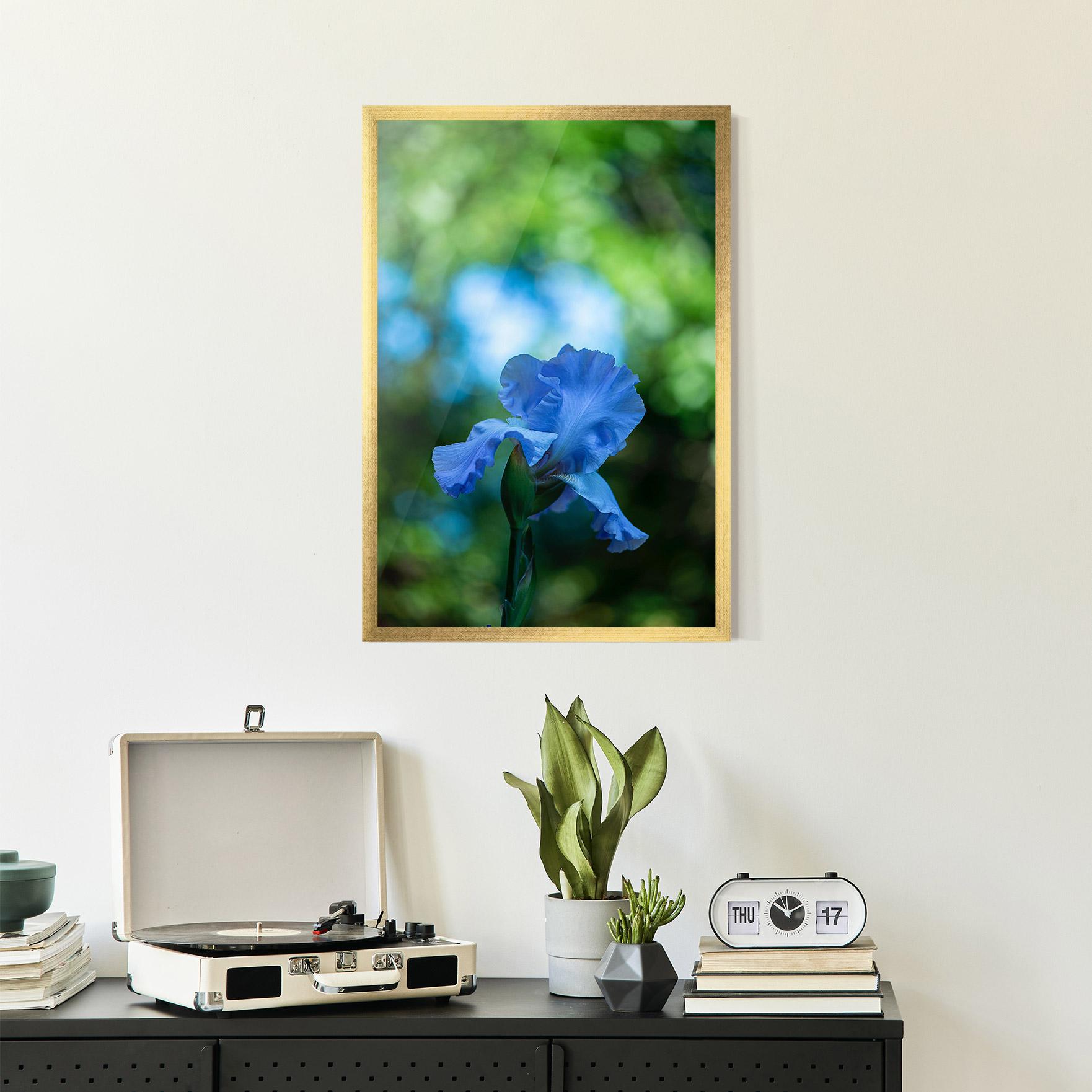 Plakat w Ramie Blue Iris In The Garden mockup 2