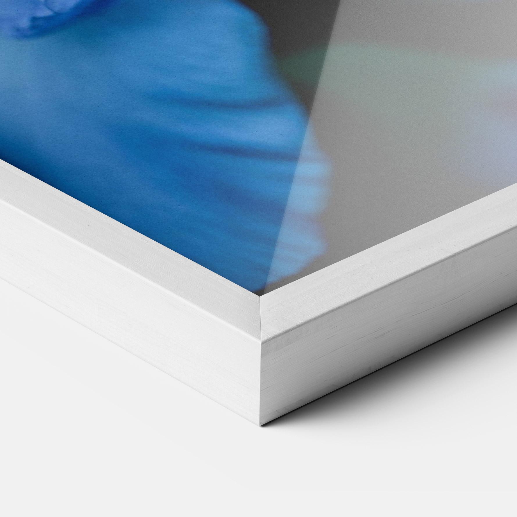 Plakat w Ramie Ocean Blue Iris mockup 3