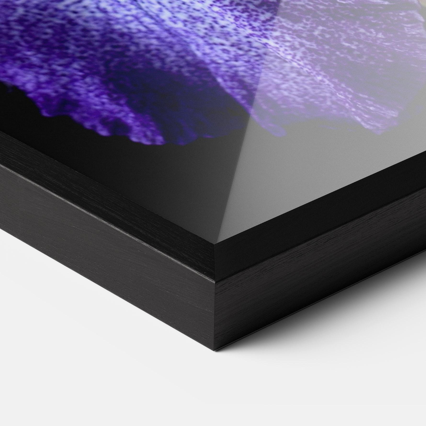 Plakat w Ramie Dark Purple Iris On Black mockup 3