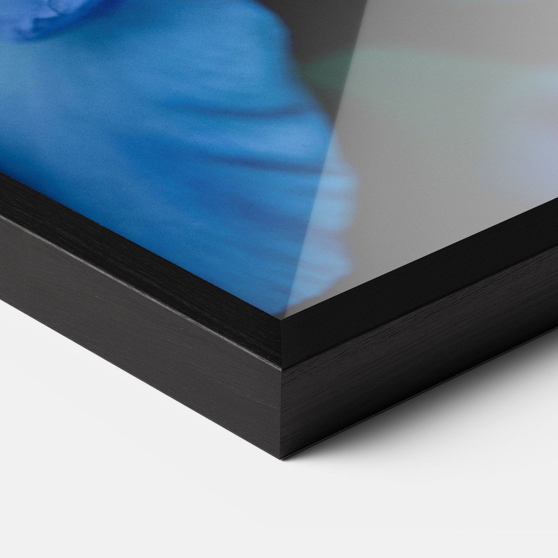 Ocean Blue Iris mockup 3