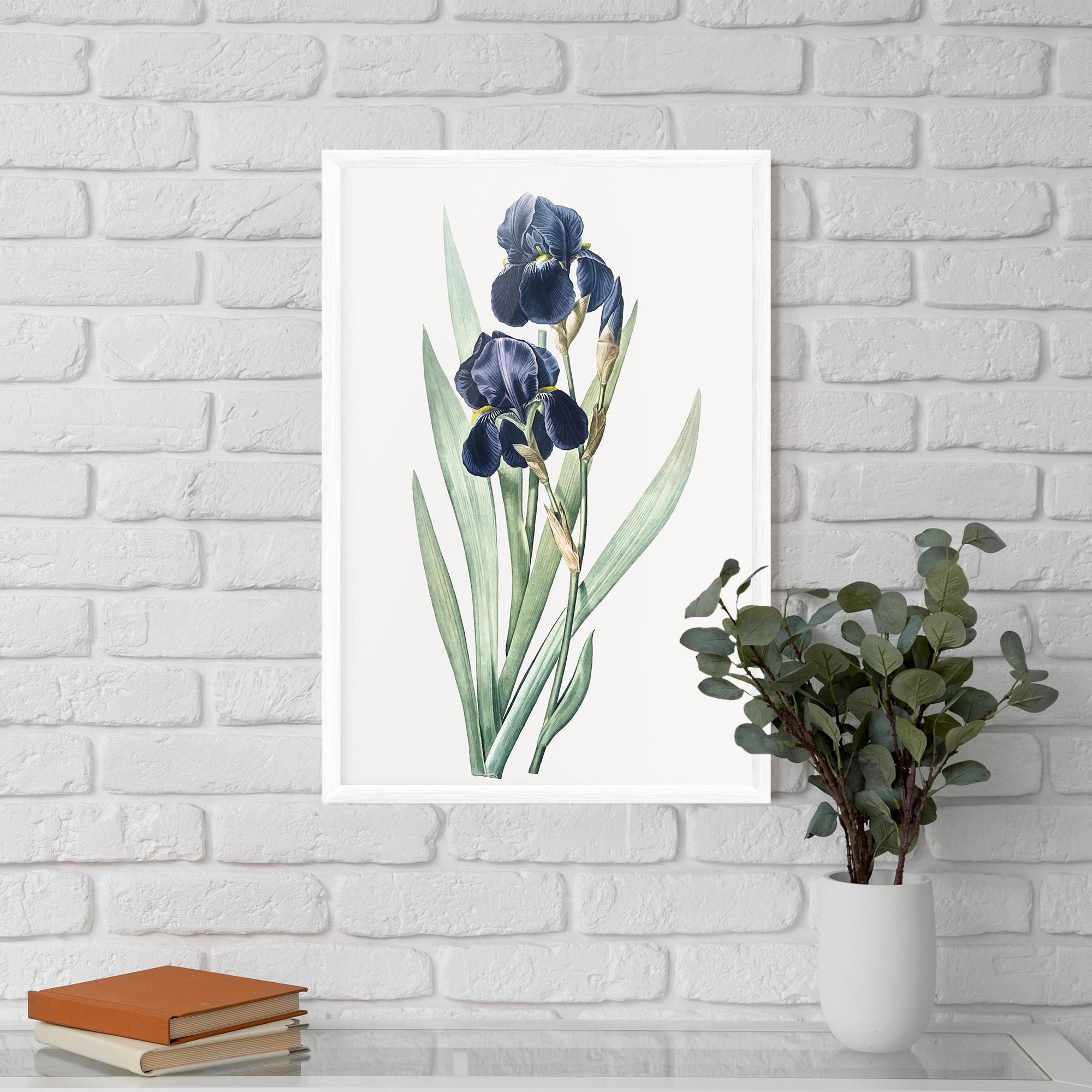 Plakat w Ramie Dark Blue Iris mockup 5