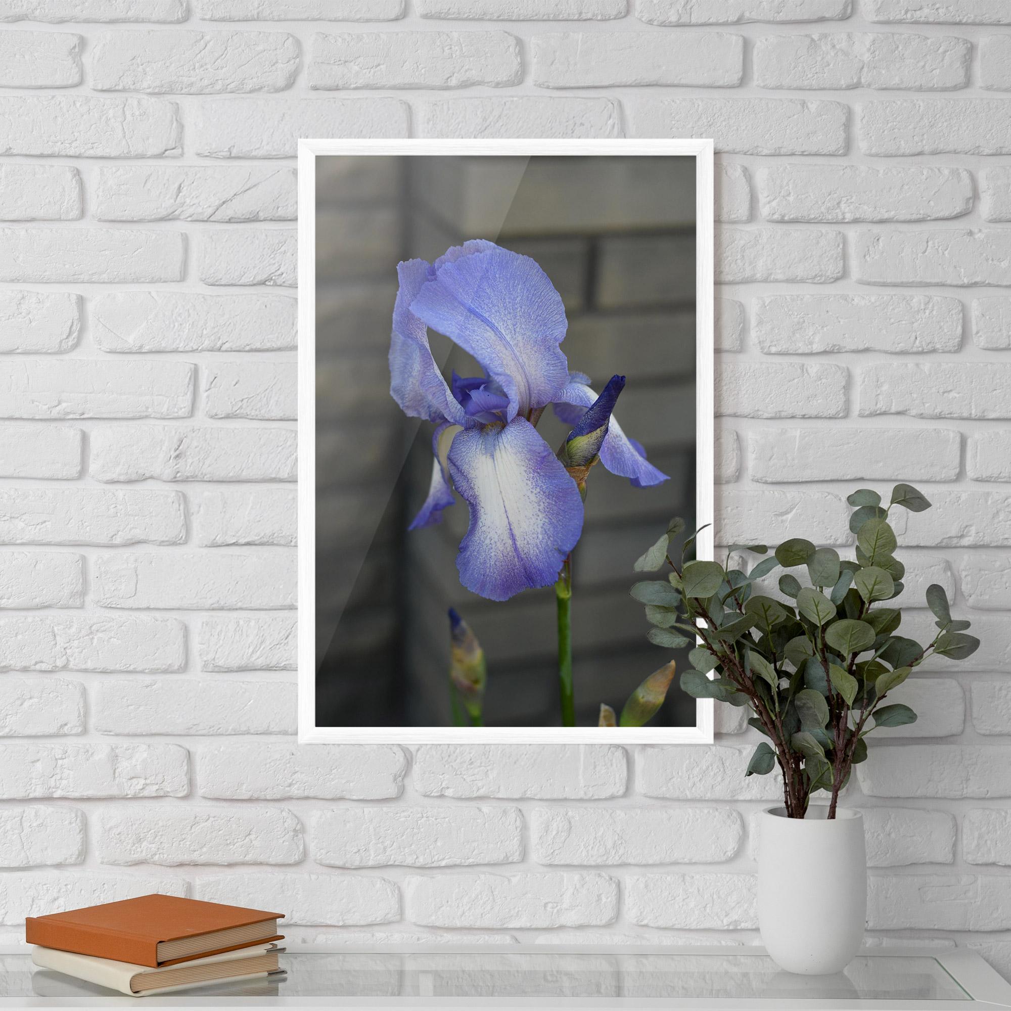 Plakat w Ramie Purple Iris On Gray mockup 5