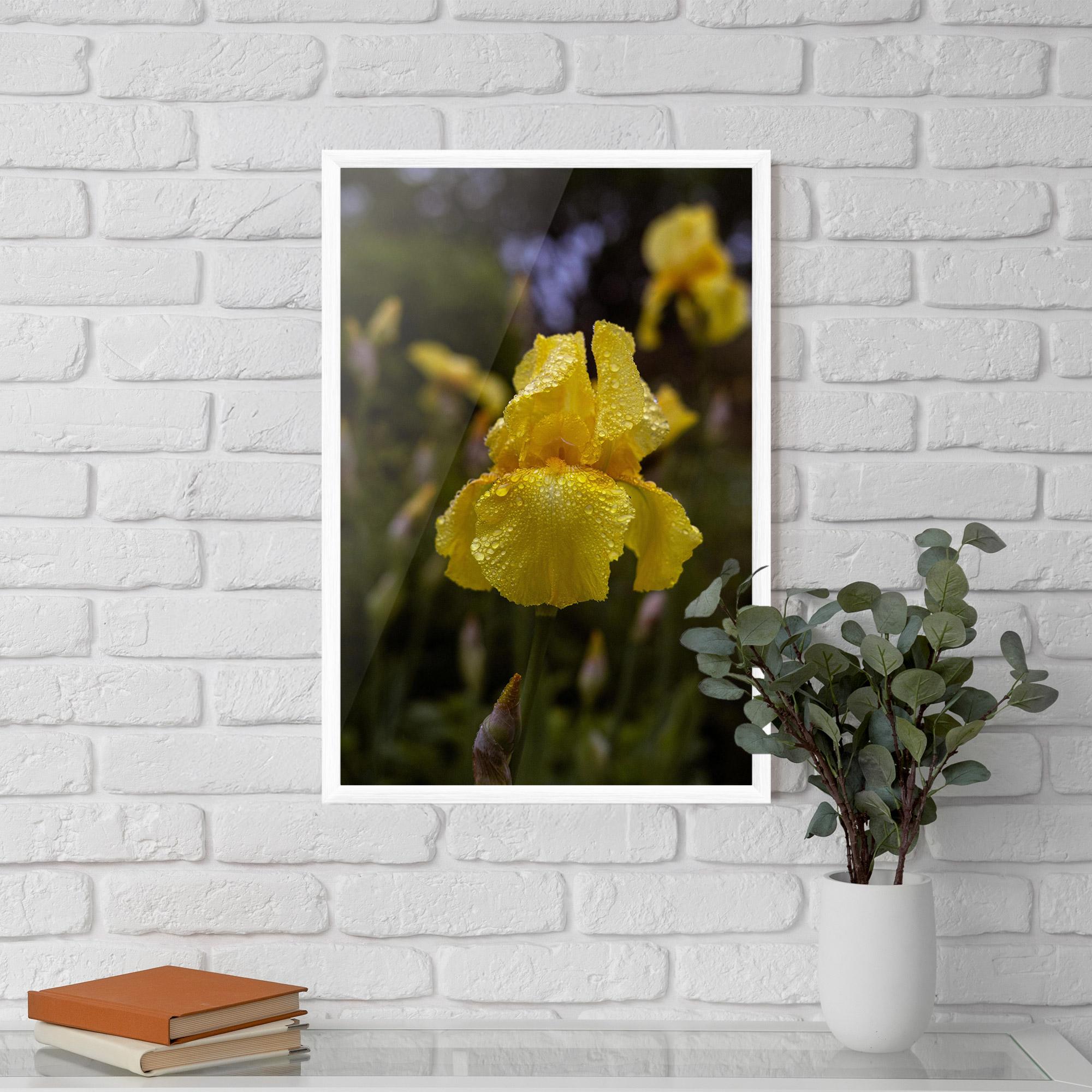 Plakat w Ramie Yellow Iris After Rain mockup 5