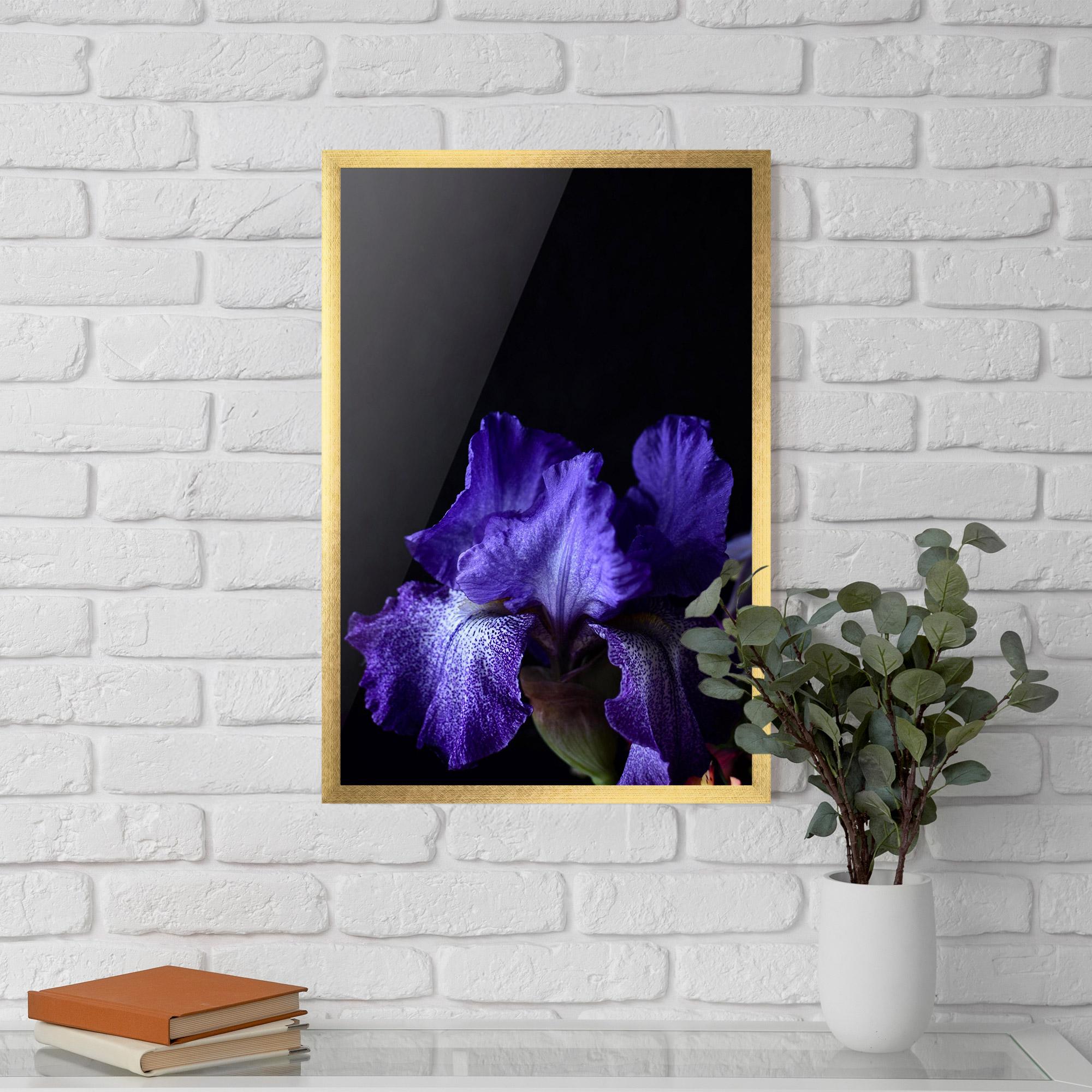 Plakat w Ramie Dark Purple Iris On Black mockup 5