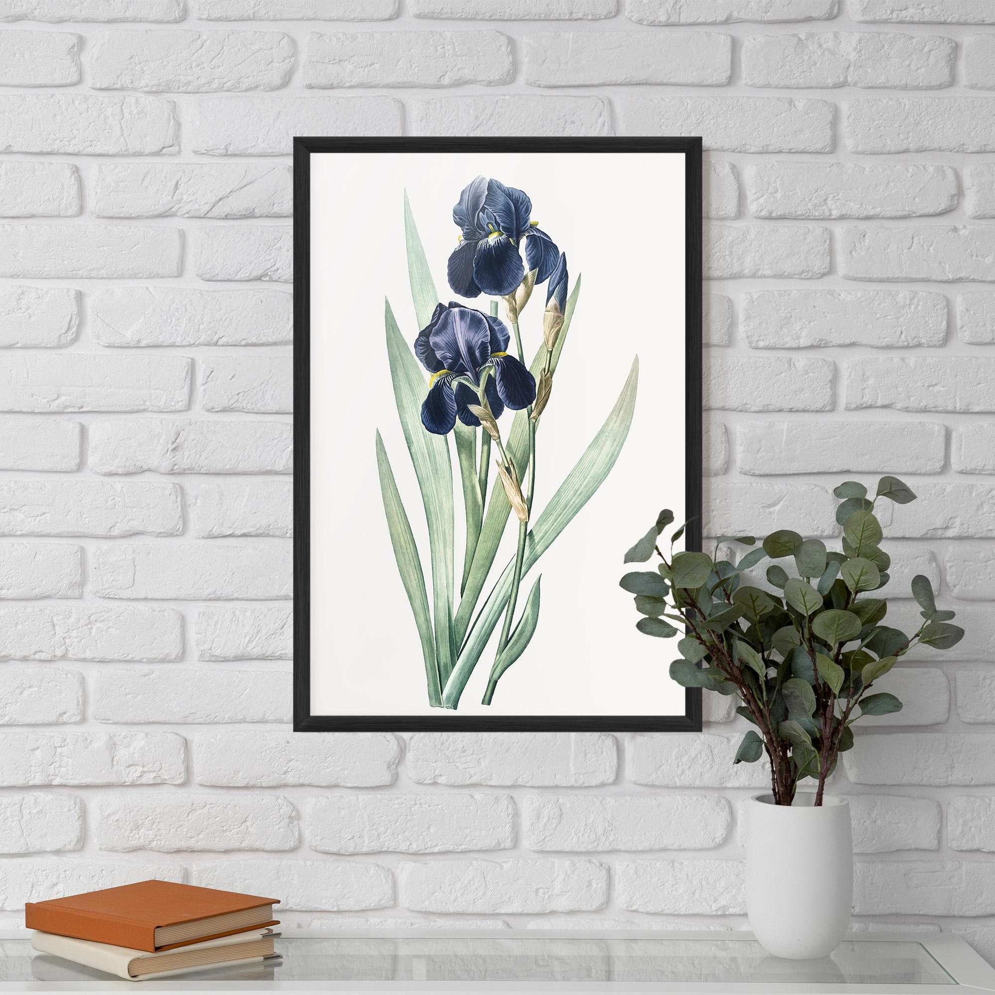 Plakat w Ramie Dark Blue Iris mockup 5