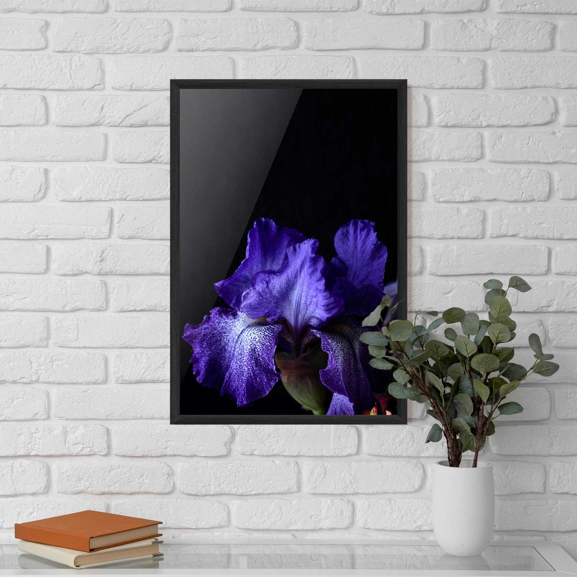 Plakat w Ramie Dark Purple Iris On Black mockup 5