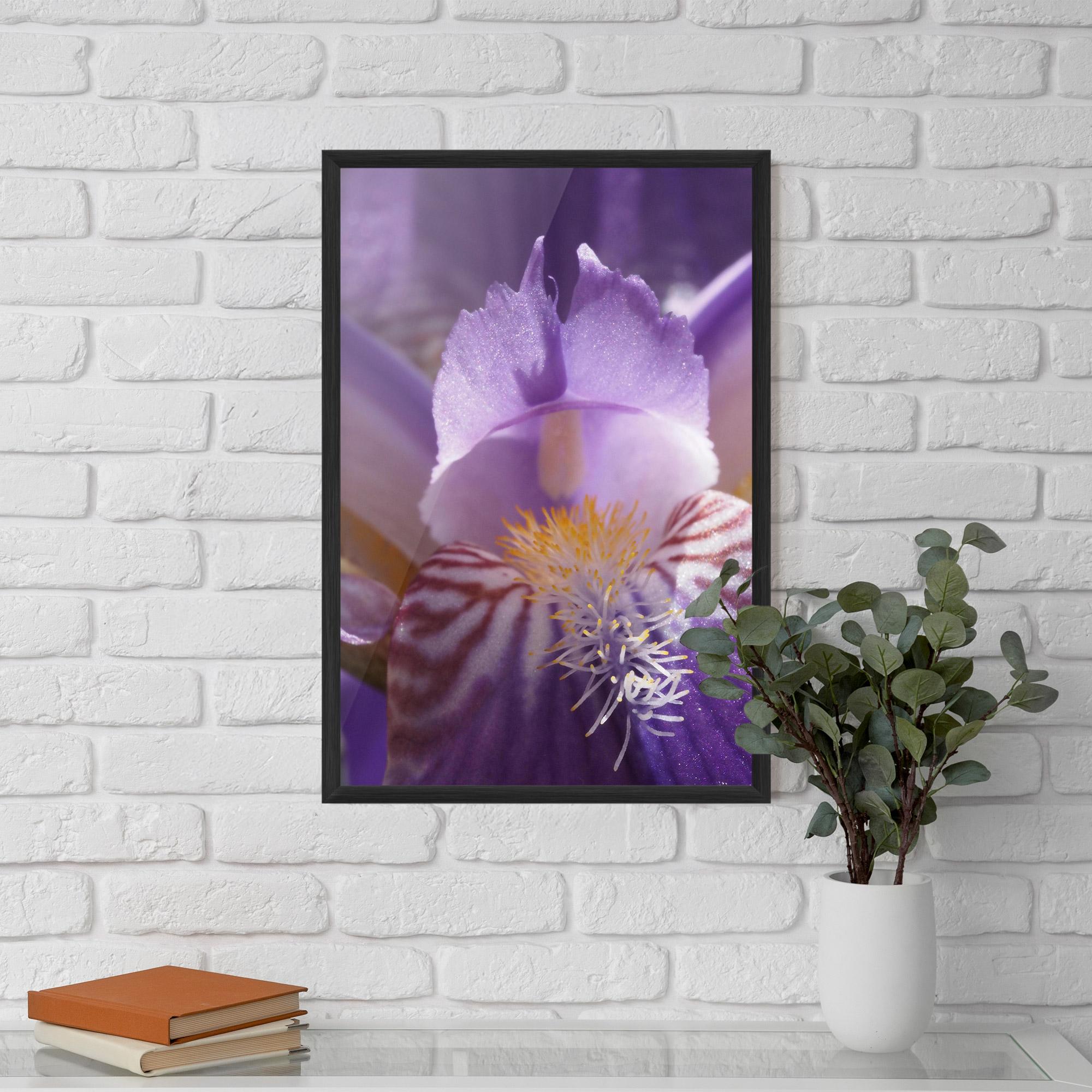 Plakat w Ramie Purple Iris Close Up mockup 5