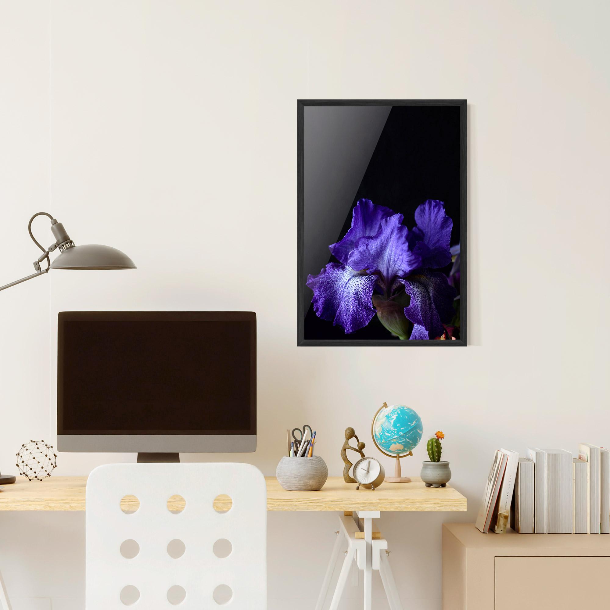 Plakat w Ramie Dark Purple Iris On Black mockup 6