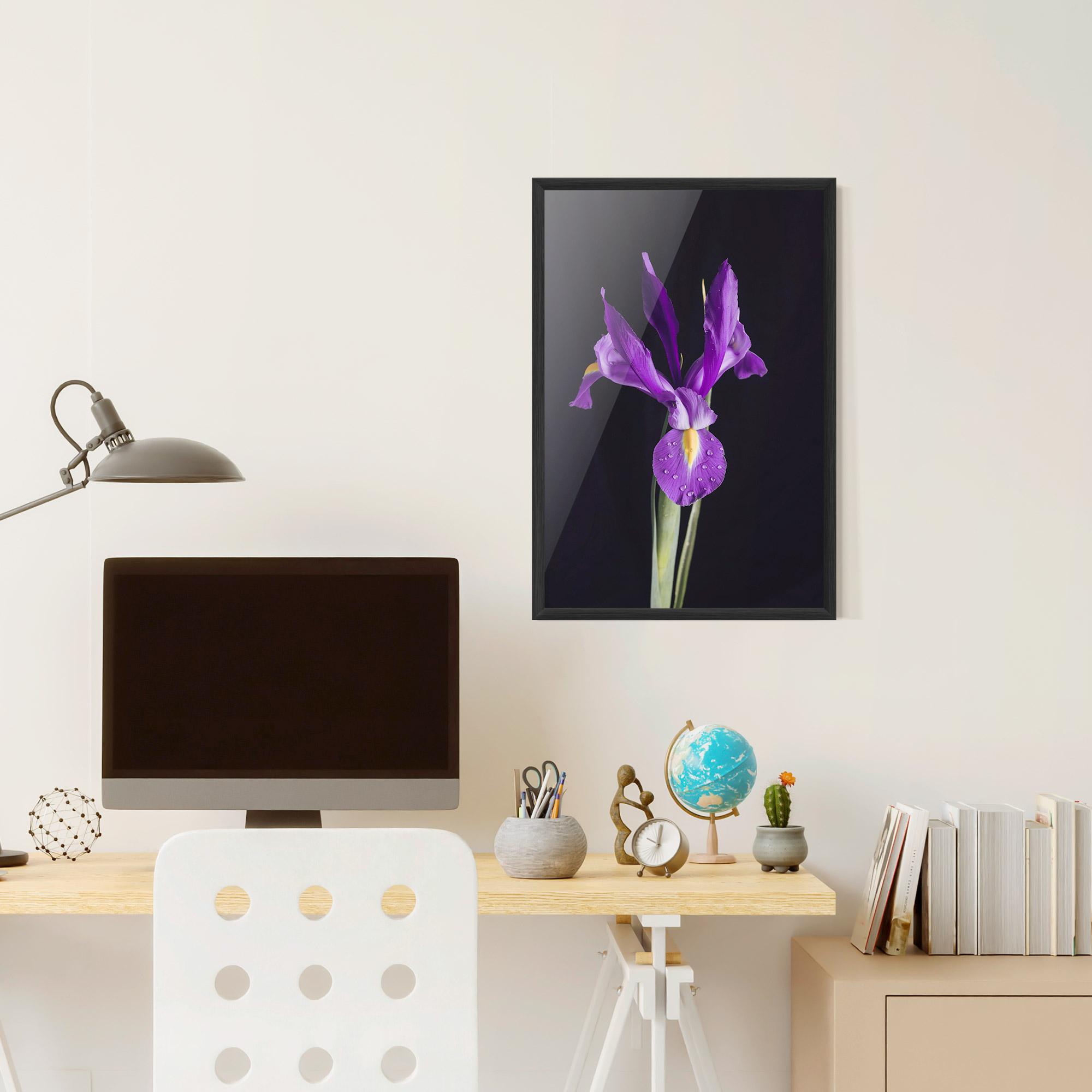 Plakat w Ramie Fresh Purple Iris mockup 6
