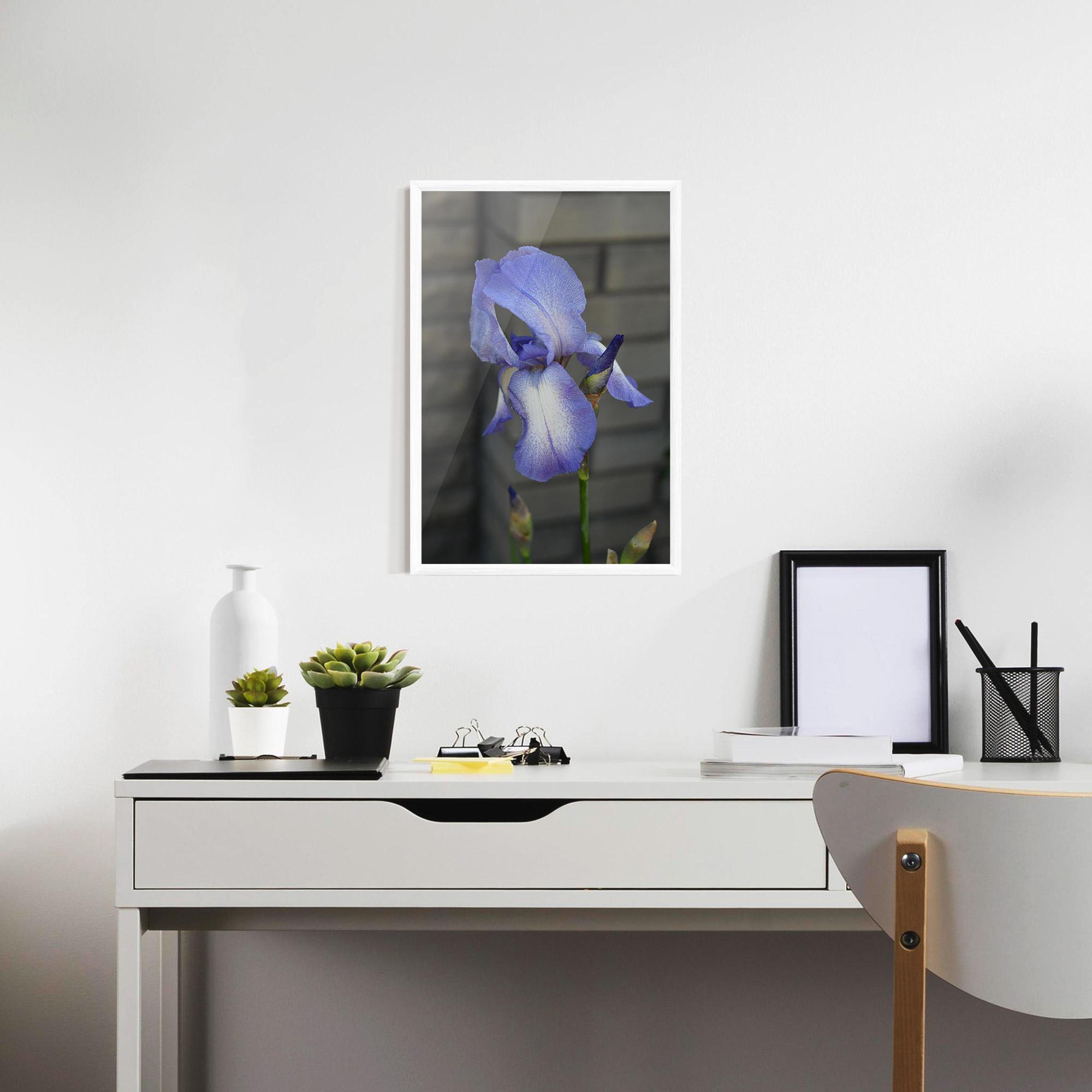 Plakat w Ramie Purple Iris On Gray mockup 7