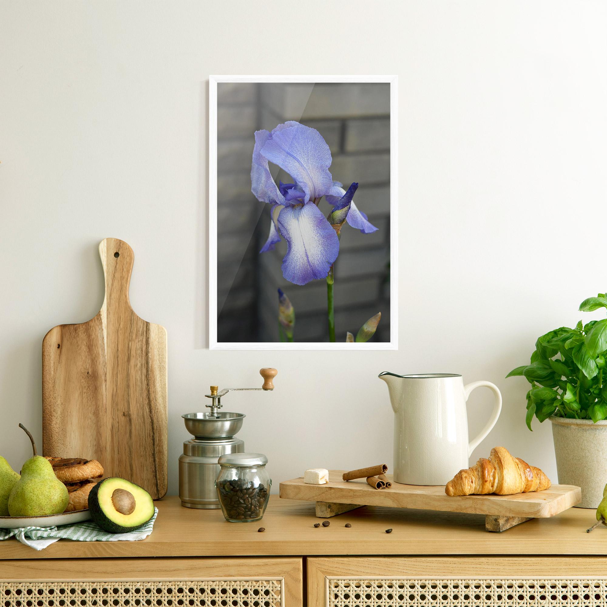 Plakat w Ramie Purple Iris On Gray mockup 8