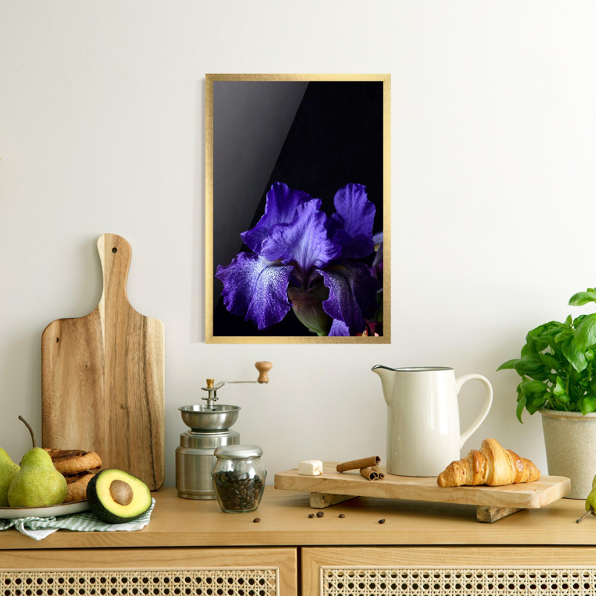 Plakat w Ramie Dark Purple Iris On Black mockup 8