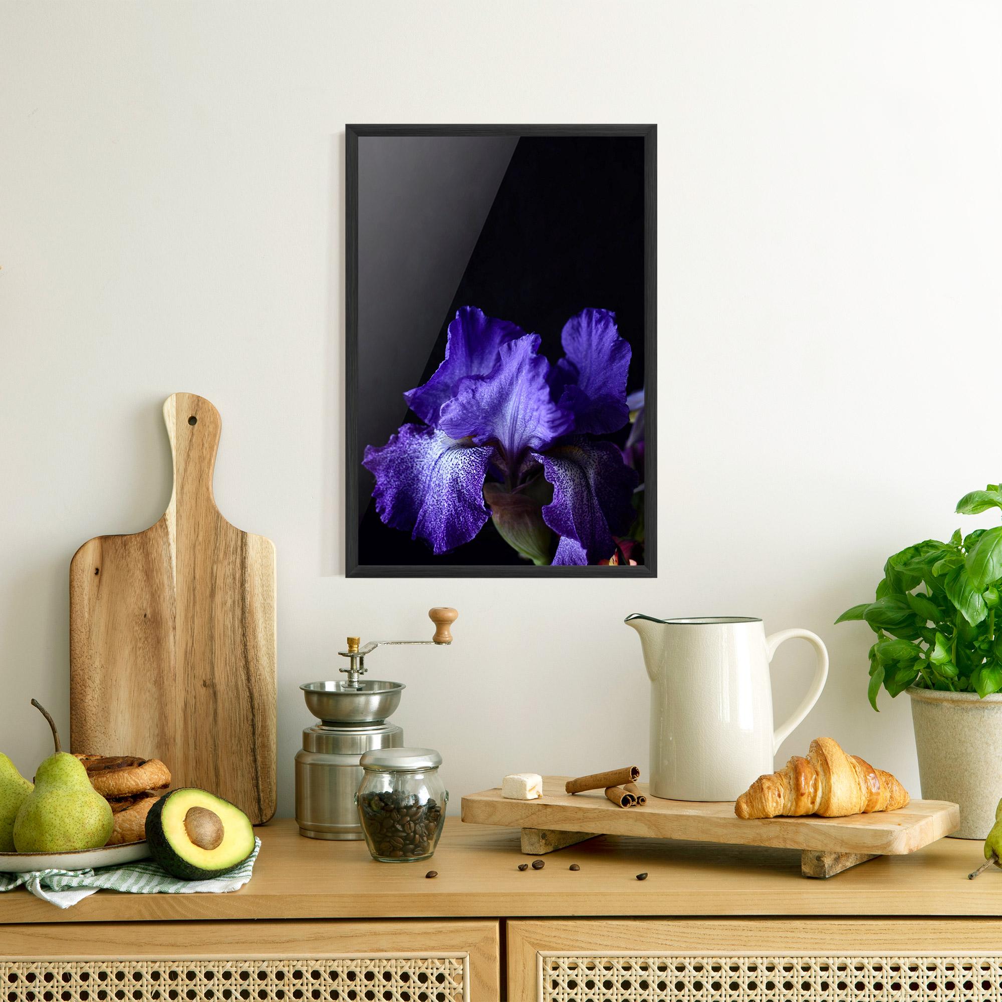 Plakat w Ramie Dark Purple Iris On Black mockup 8