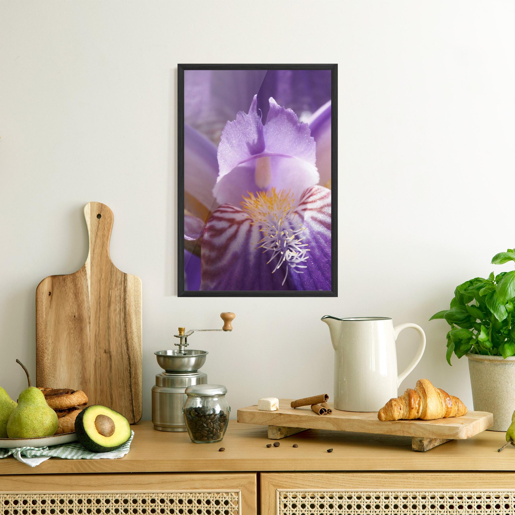 Plakat w Ramie Purple Iris Close Up mockup 8
