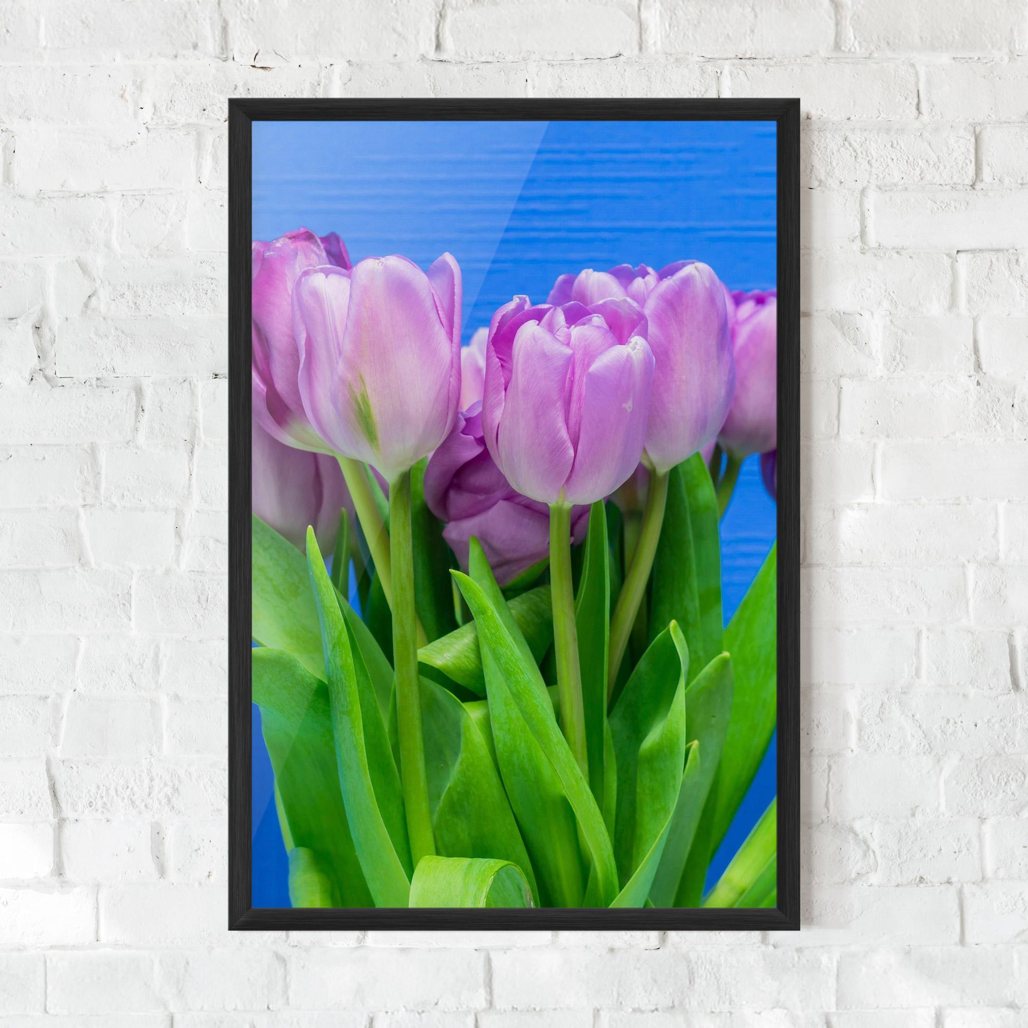 Plakat w Ramie Purple Tulips On Blue mockup 0