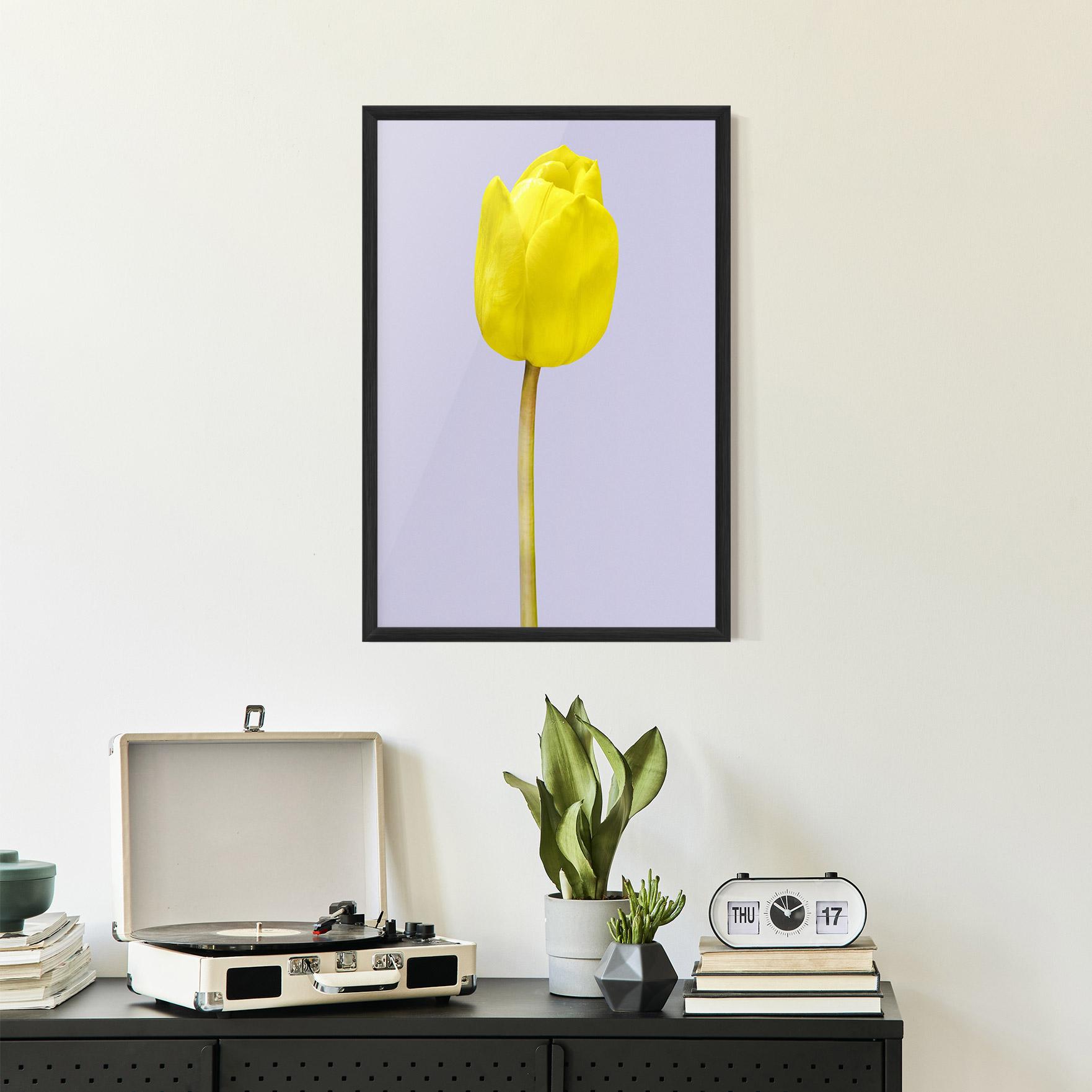 Plakat w Ramie One Yellow Tulip mockup 2