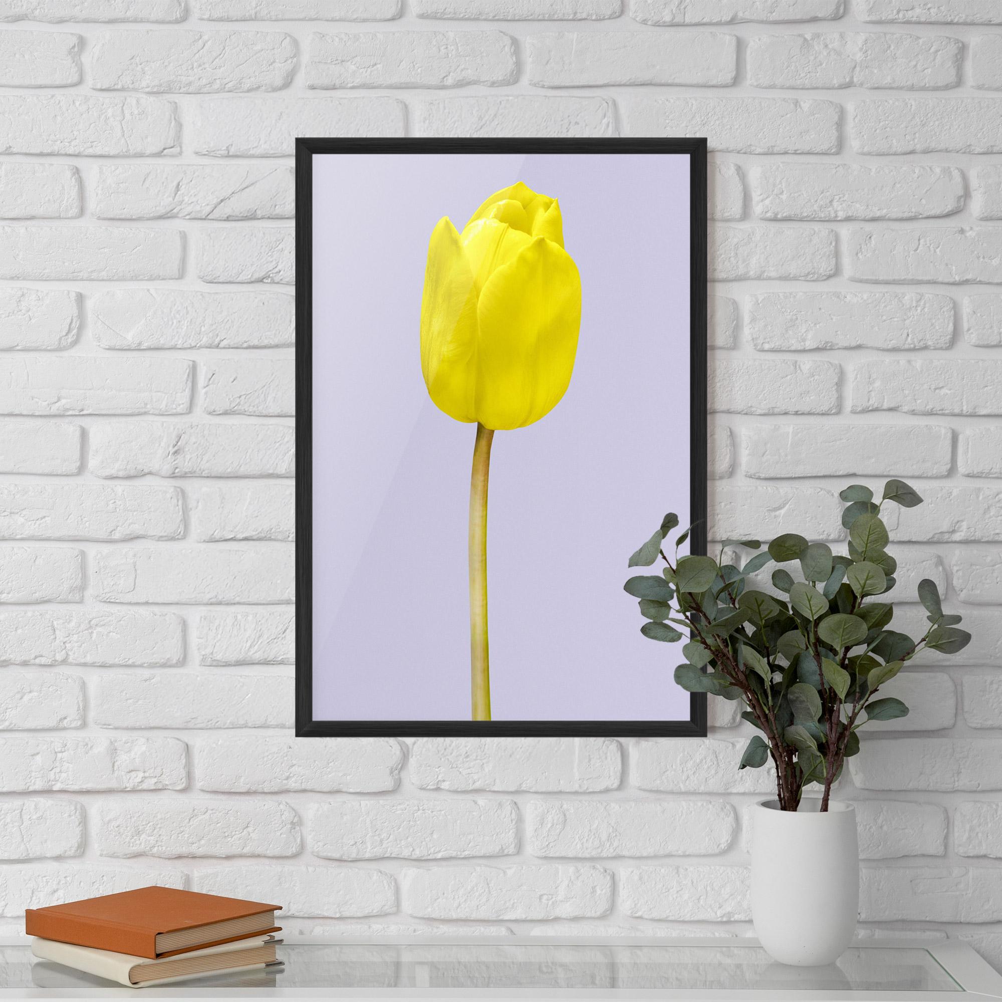Plakat w Ramie One Yellow Tulip mockup 5