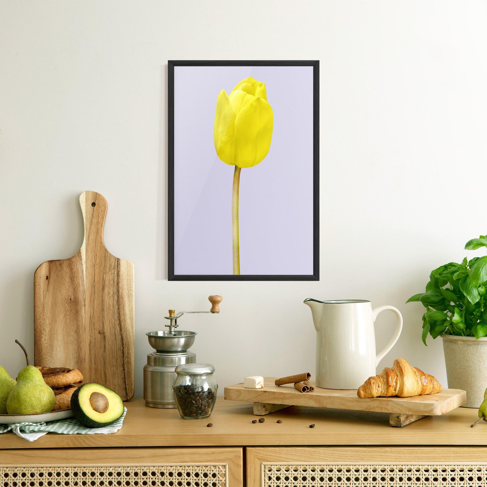 Plakat w Ramie One Yellow Tulip mockup 8