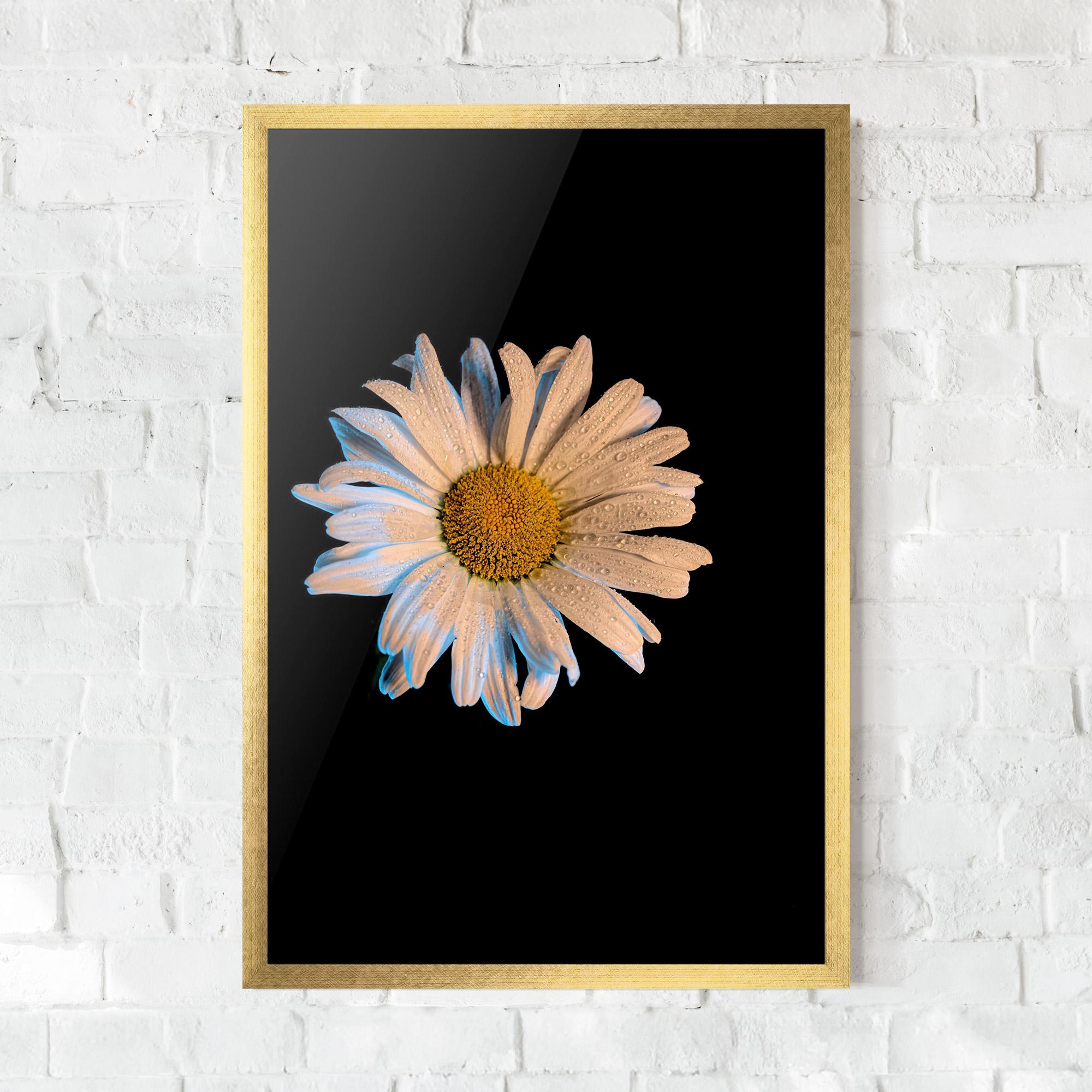 Plakat w Ramie Daisy mockup 0