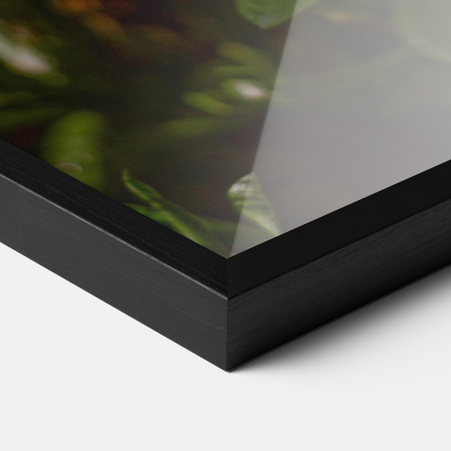 Plakat w Ramie Purple Daisy mockup 3