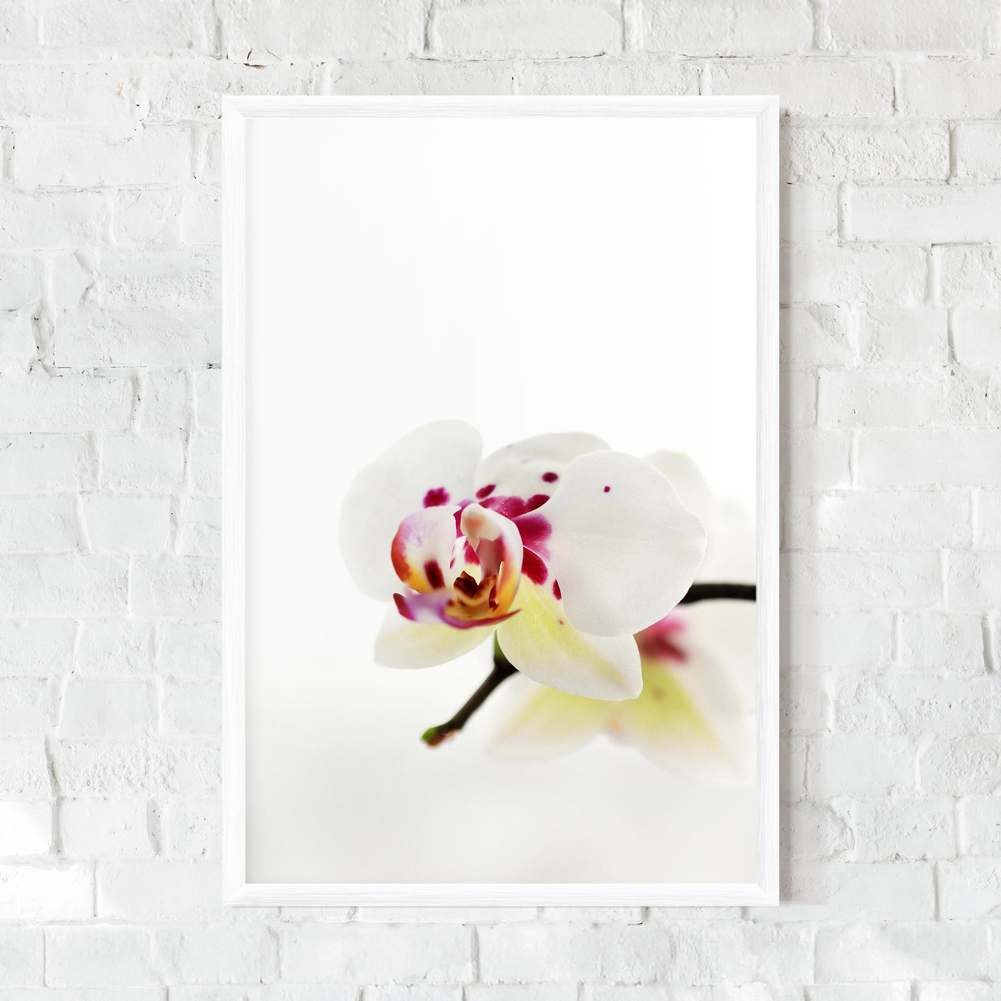 Plakat w Ramie Clean White Orchid mockup 0