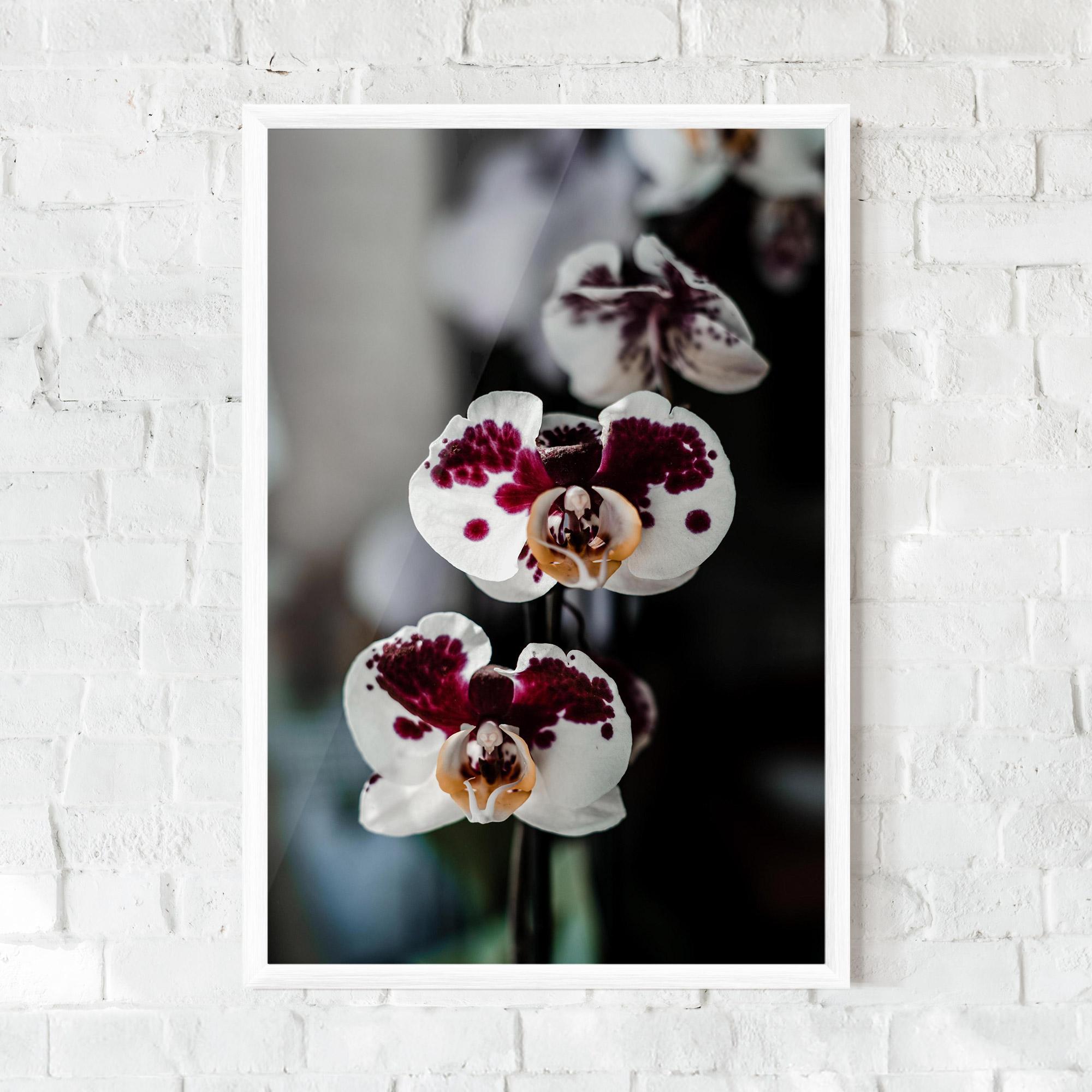 Plakat w Ramie Dark Purple Orchid mockup 0