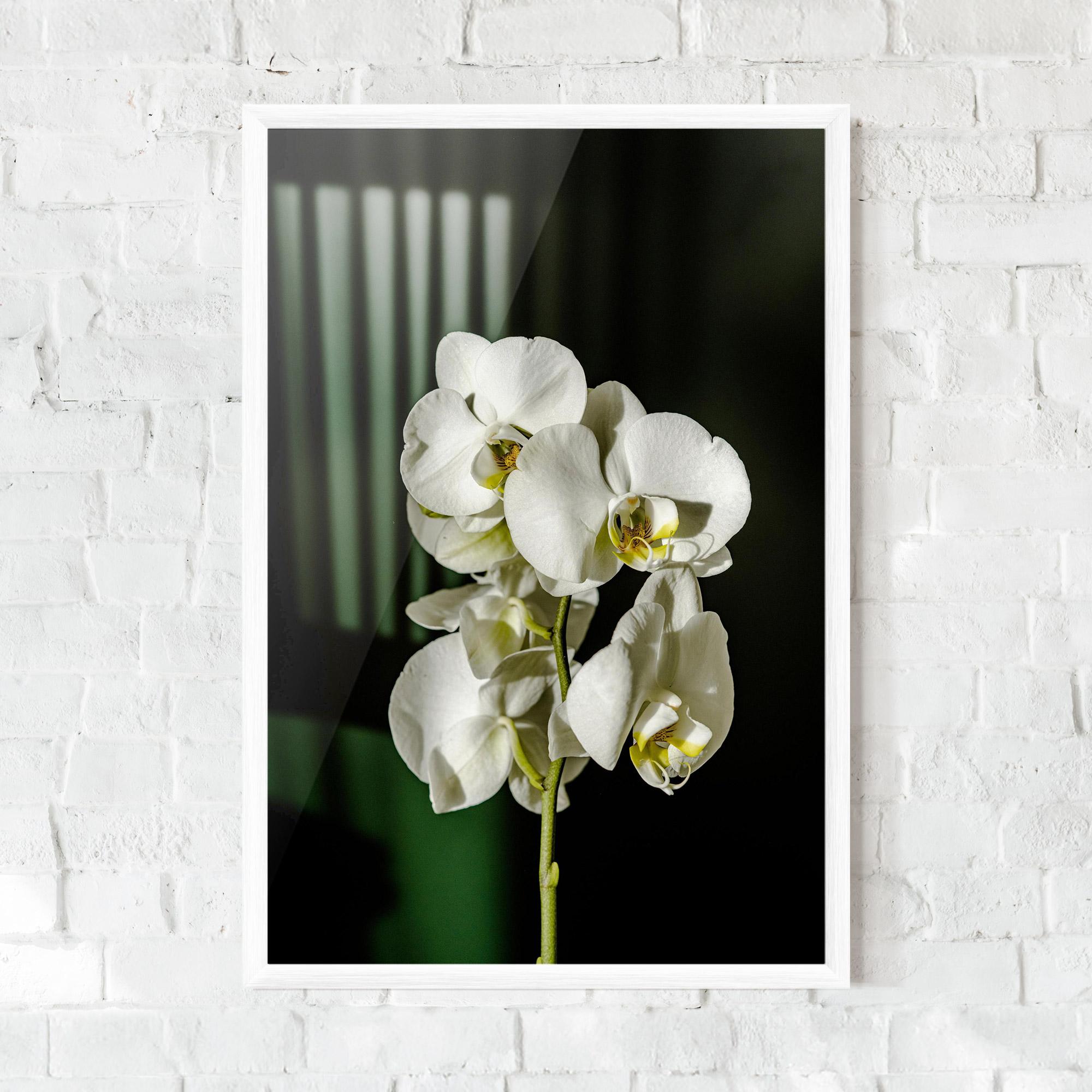Plakat w Ramie Orchid On Green mockup 0