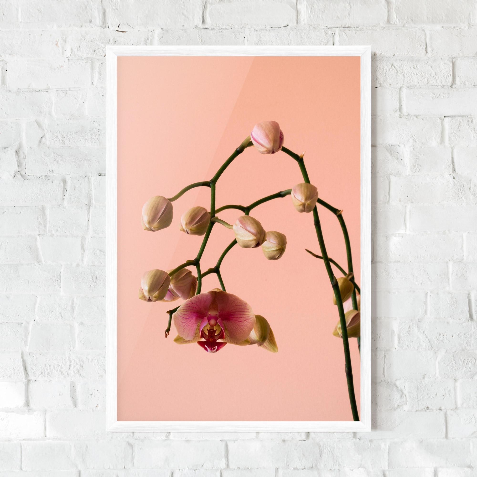 Plakat w Ramie Orchids On Pink mockup 0