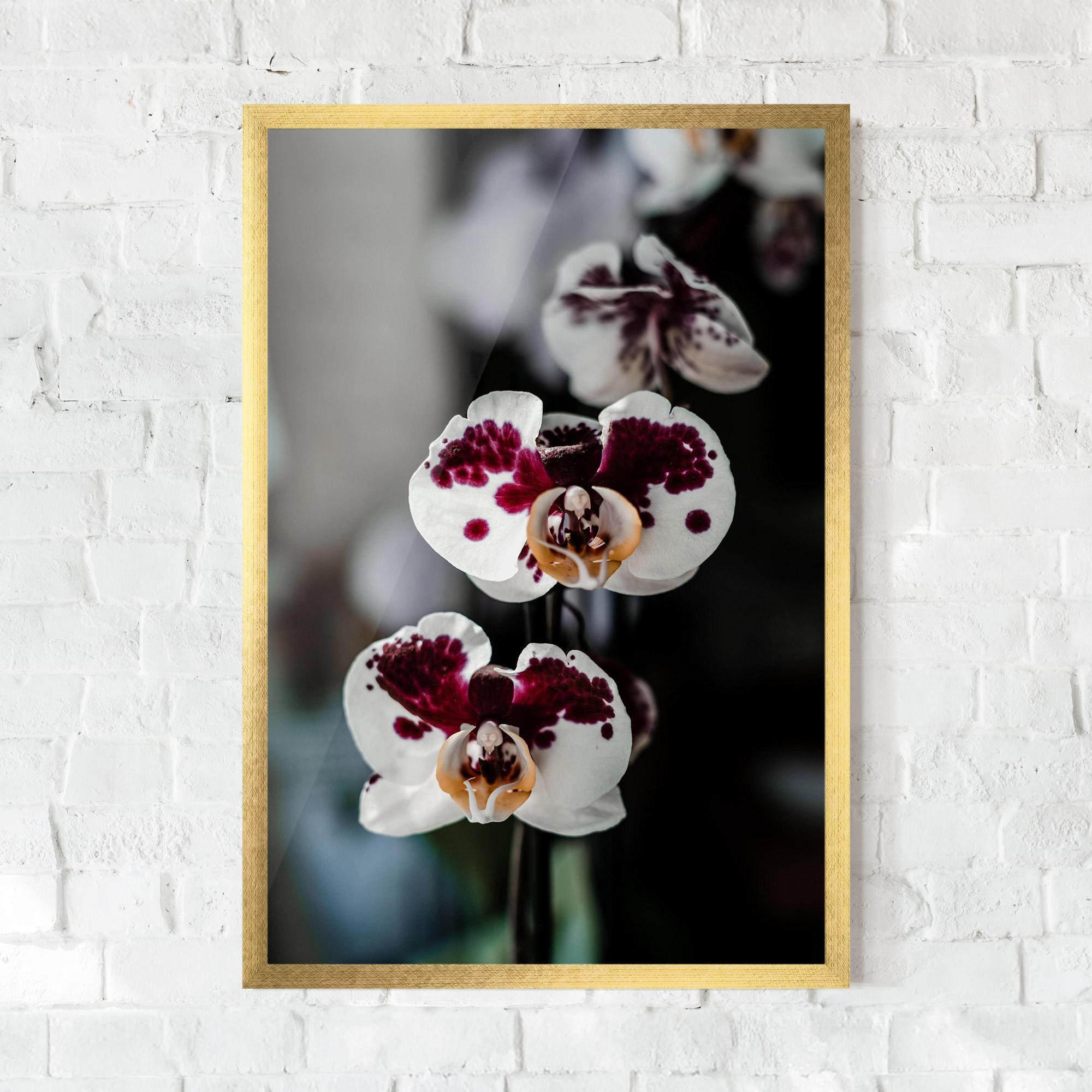 Plakat w Ramie Dark Purple Orchid mockup 0