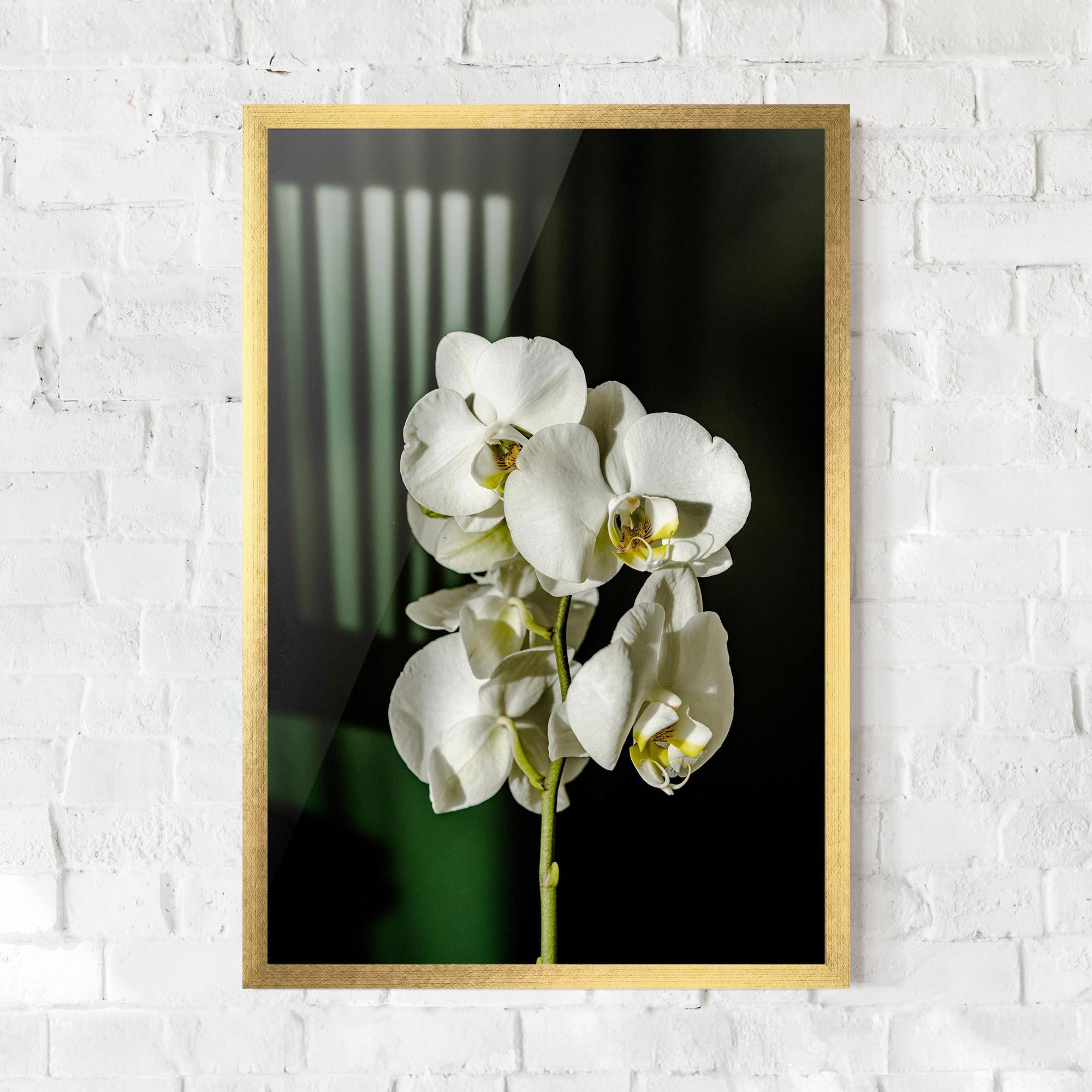 Plakat w Ramie Orchid On Green mockup 0