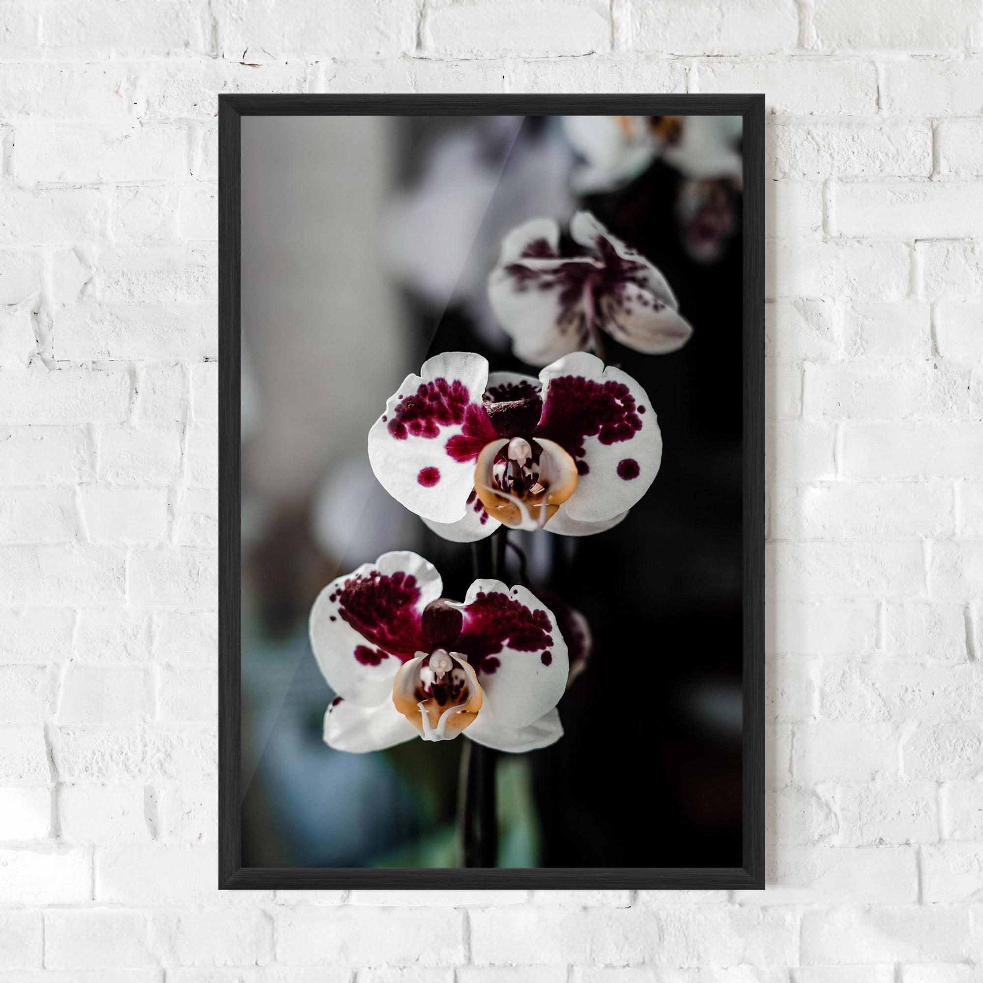 Plakat w Ramie Dark Purple Orchid mockup 0