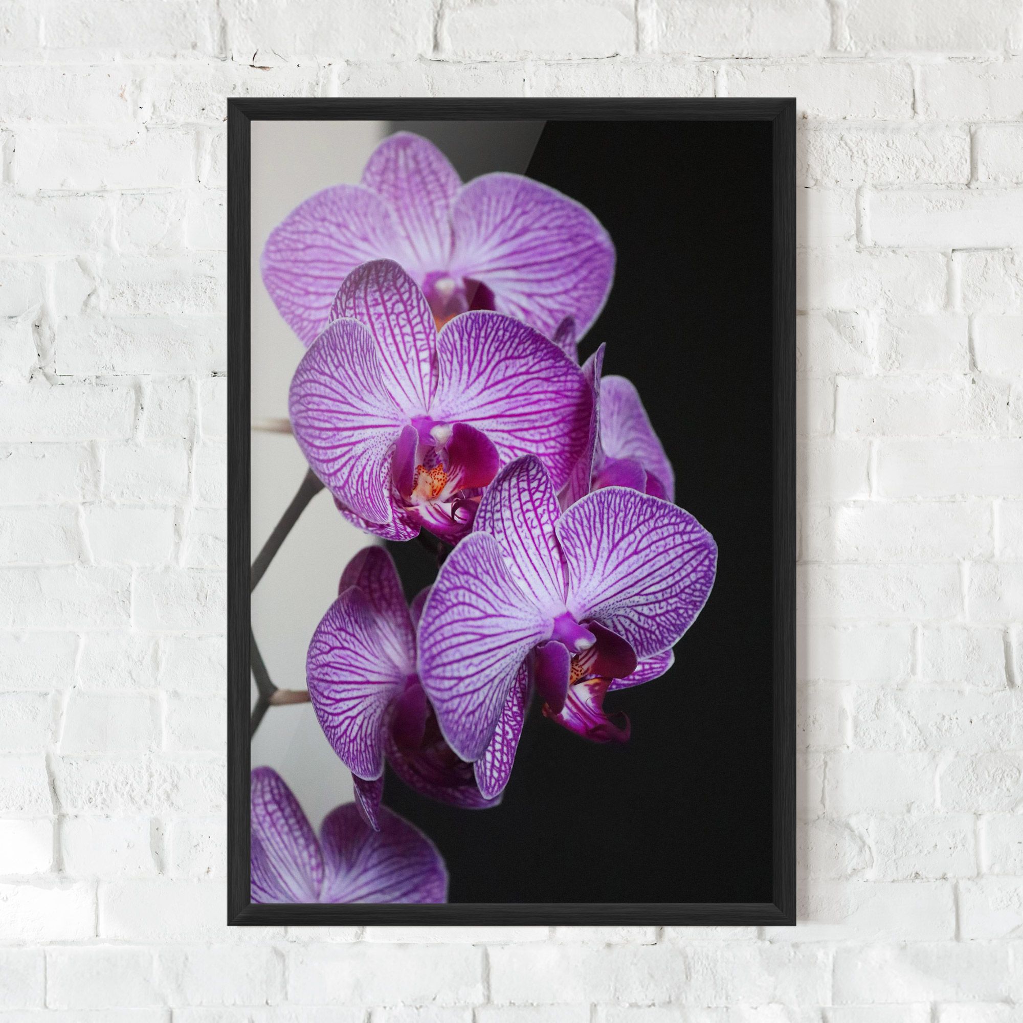 Purple Orchid On Black mockup 0