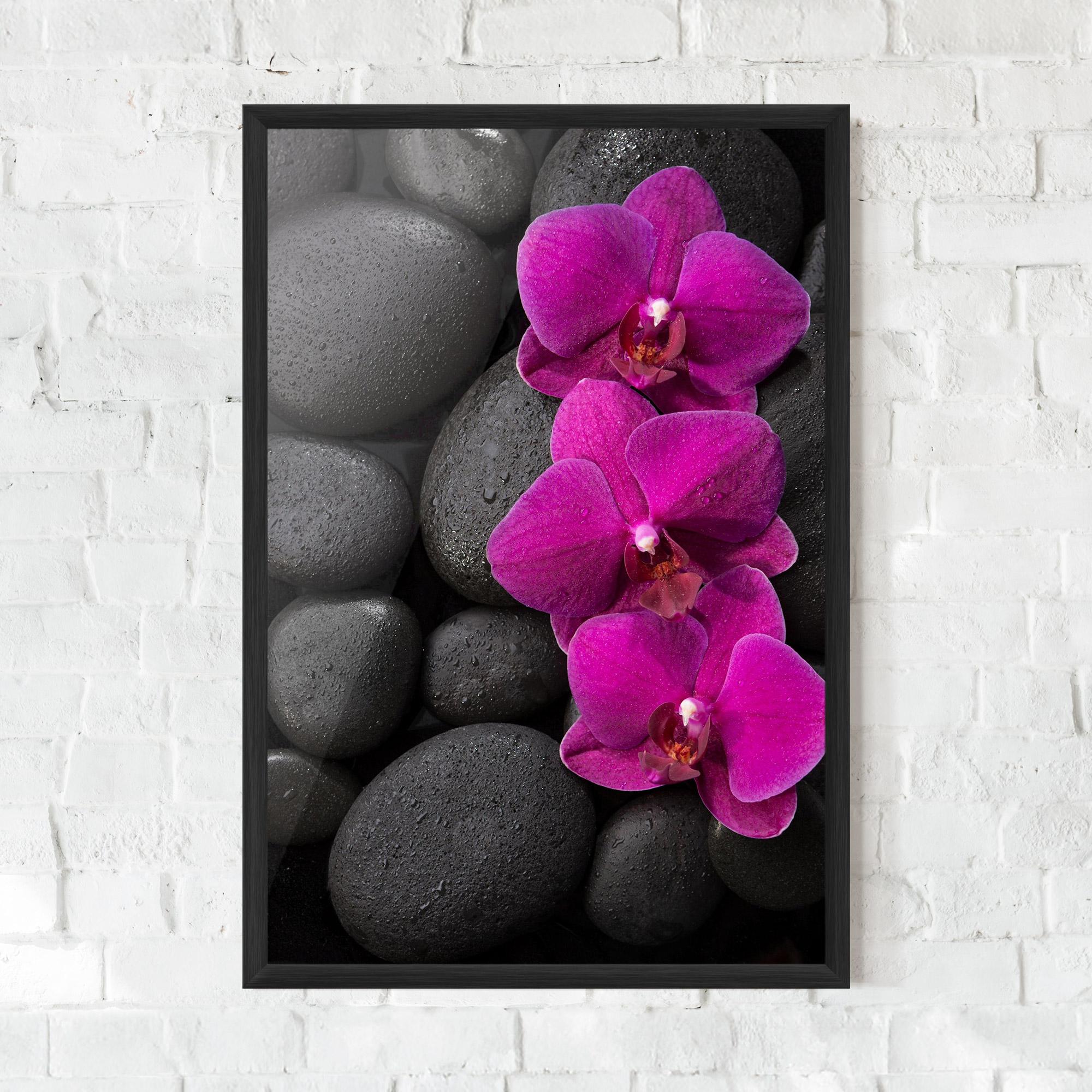Plakat w Ramie Purple Orchid On Rocks mockup 0