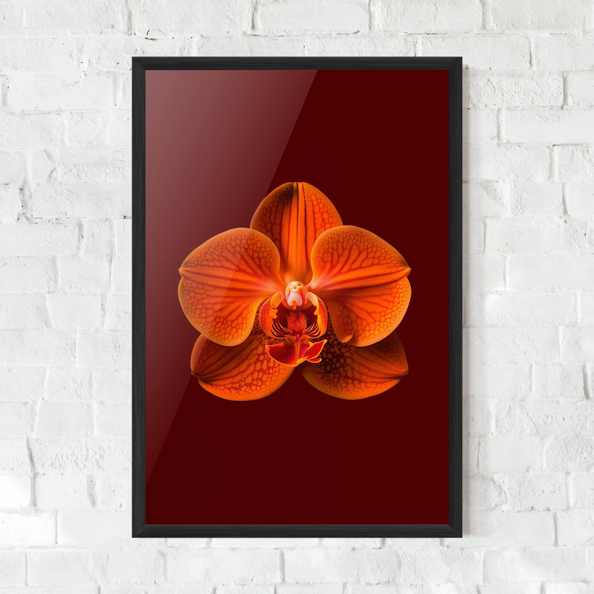 Plakat w Ramie Strong Orange Orchid mockup 0