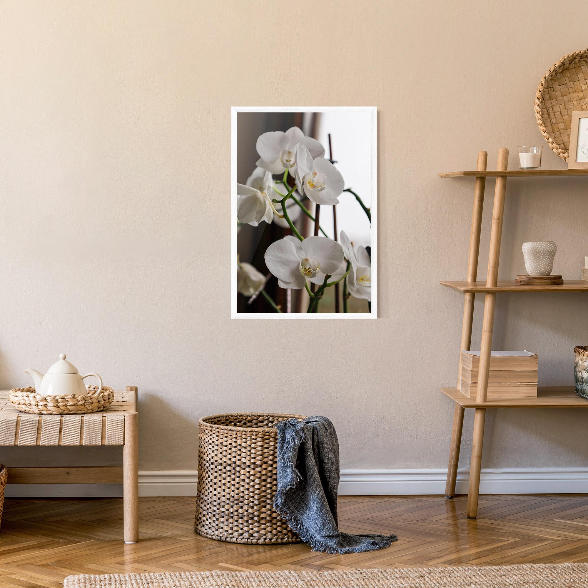 Plakat w Ramie White Orchid Growing mockup 9