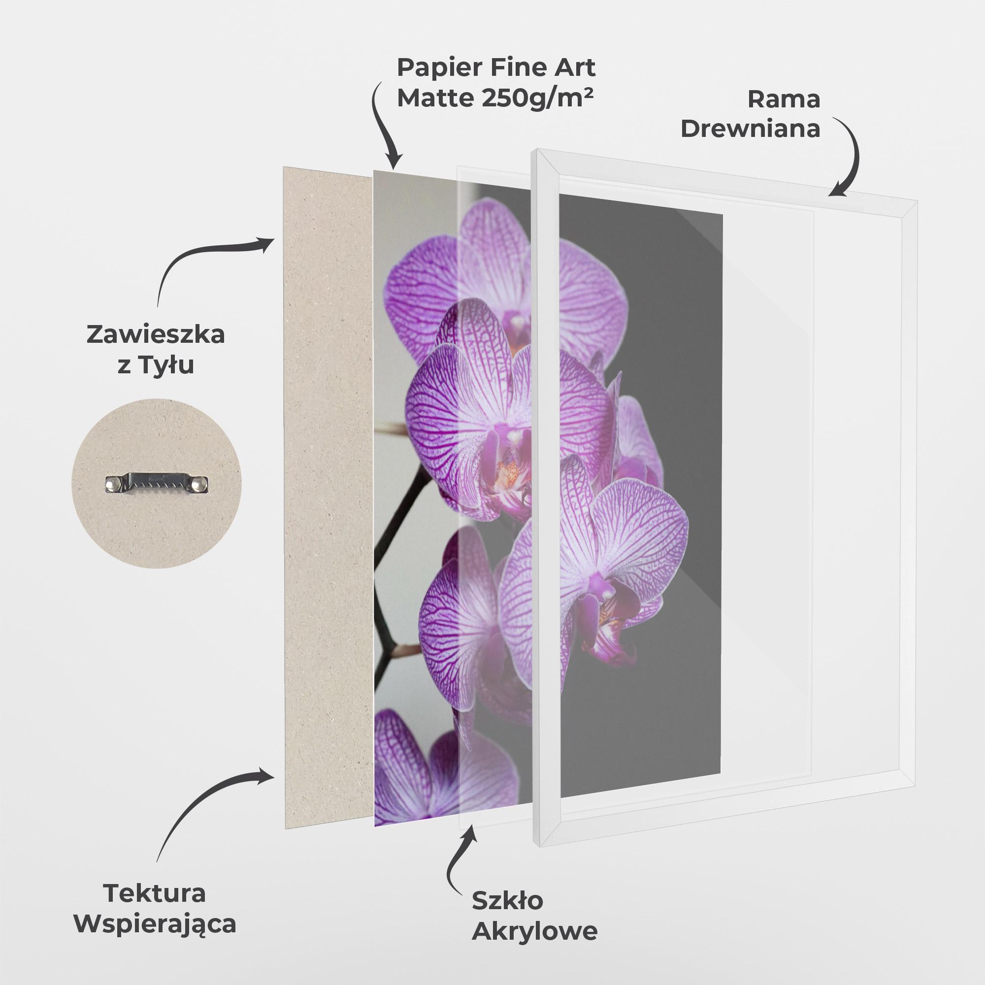 Plakat w Ramie Purple Orchid On Black mockup 1