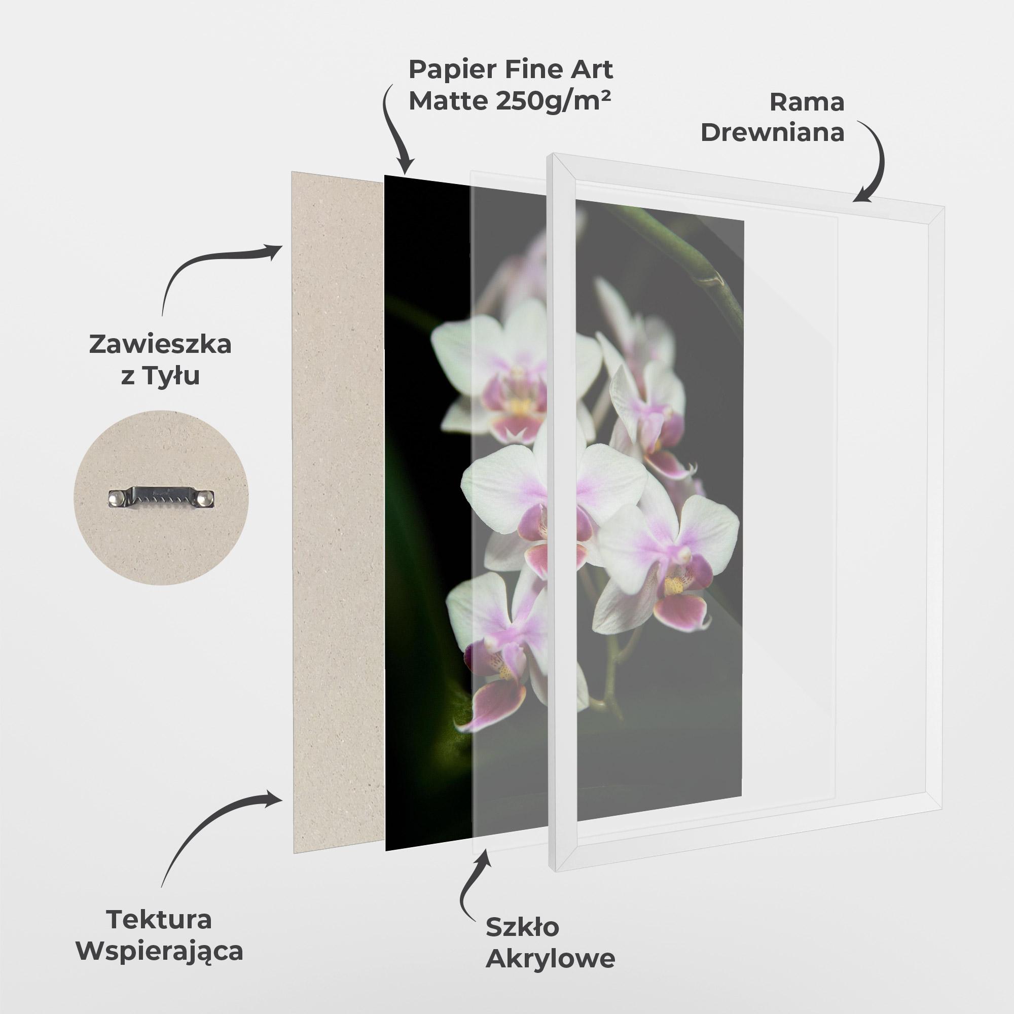 Plakat w Ramie Wild White Purple Orchid mockup 1