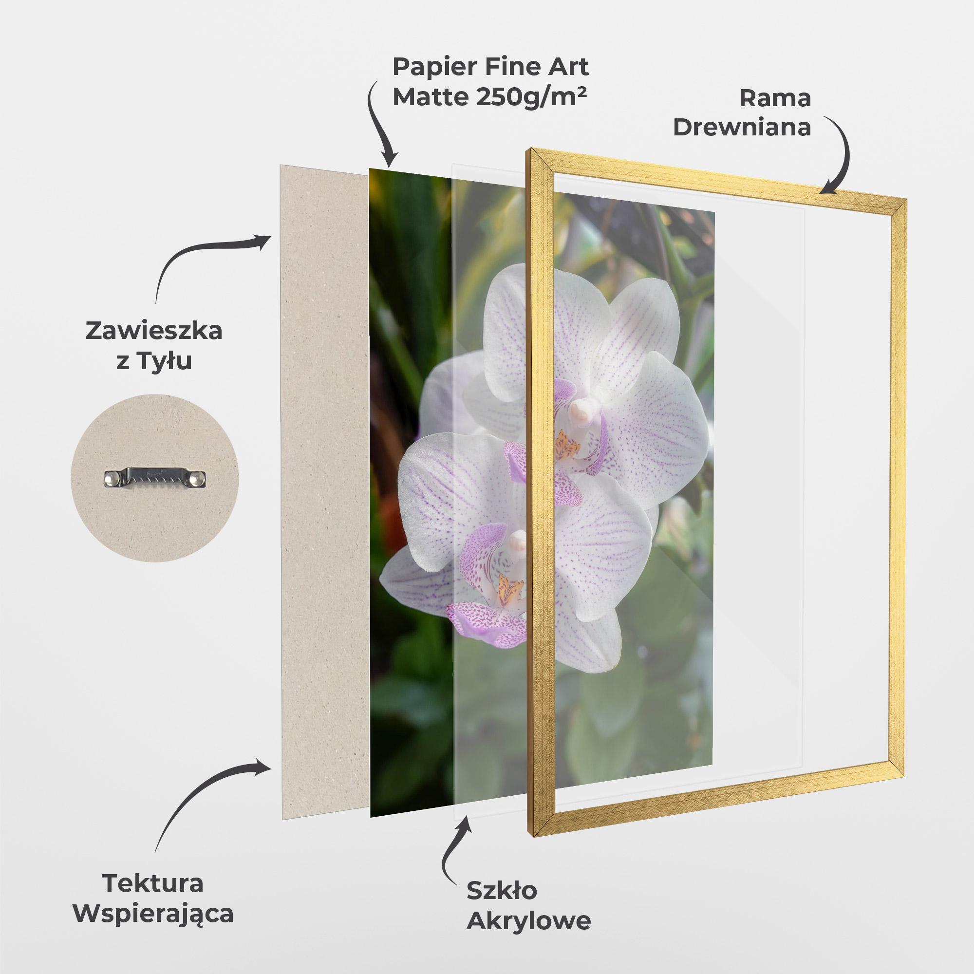 Plakat w Ramie White Orchids mockup 1