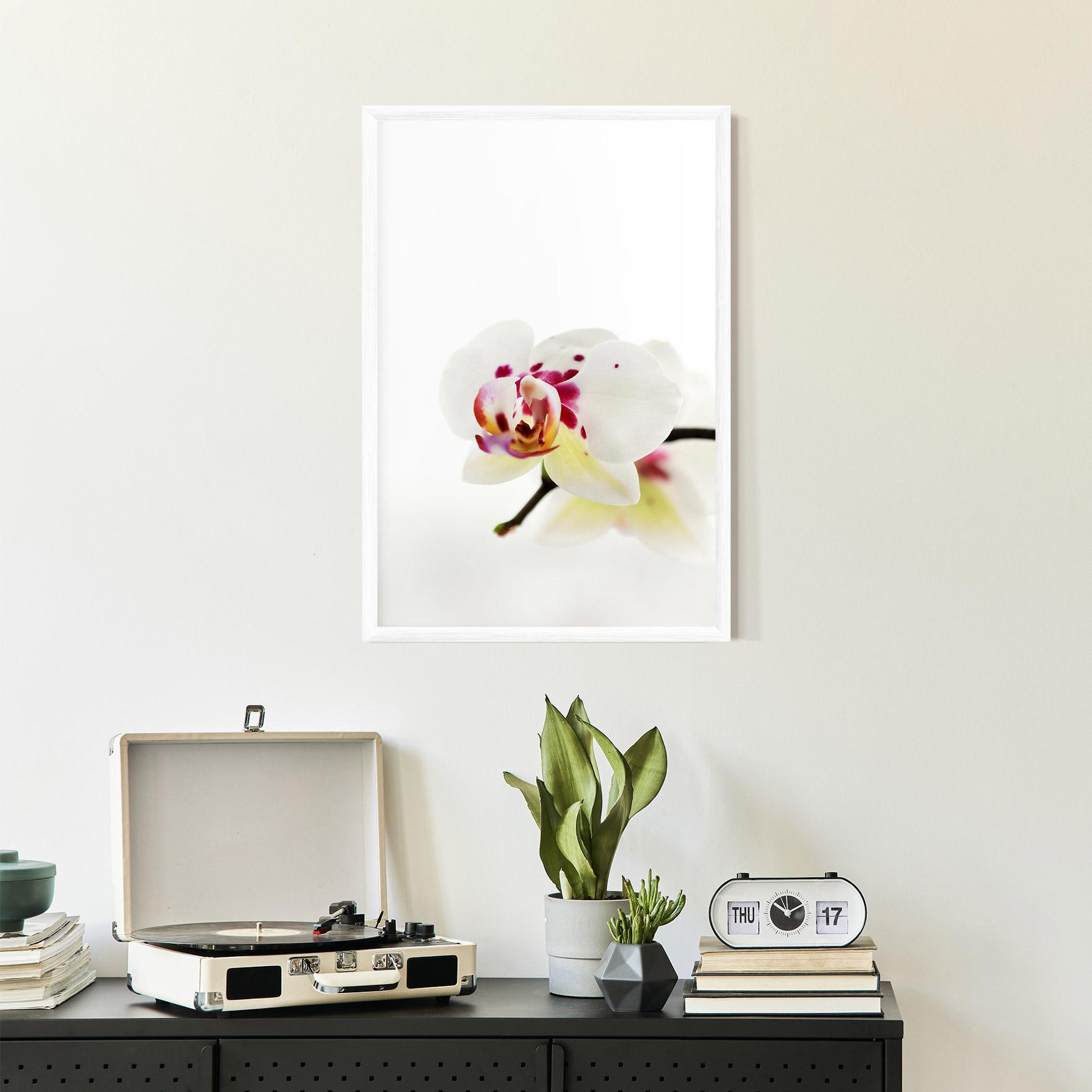 Plakat w Ramie Clean White Orchid mockup 2