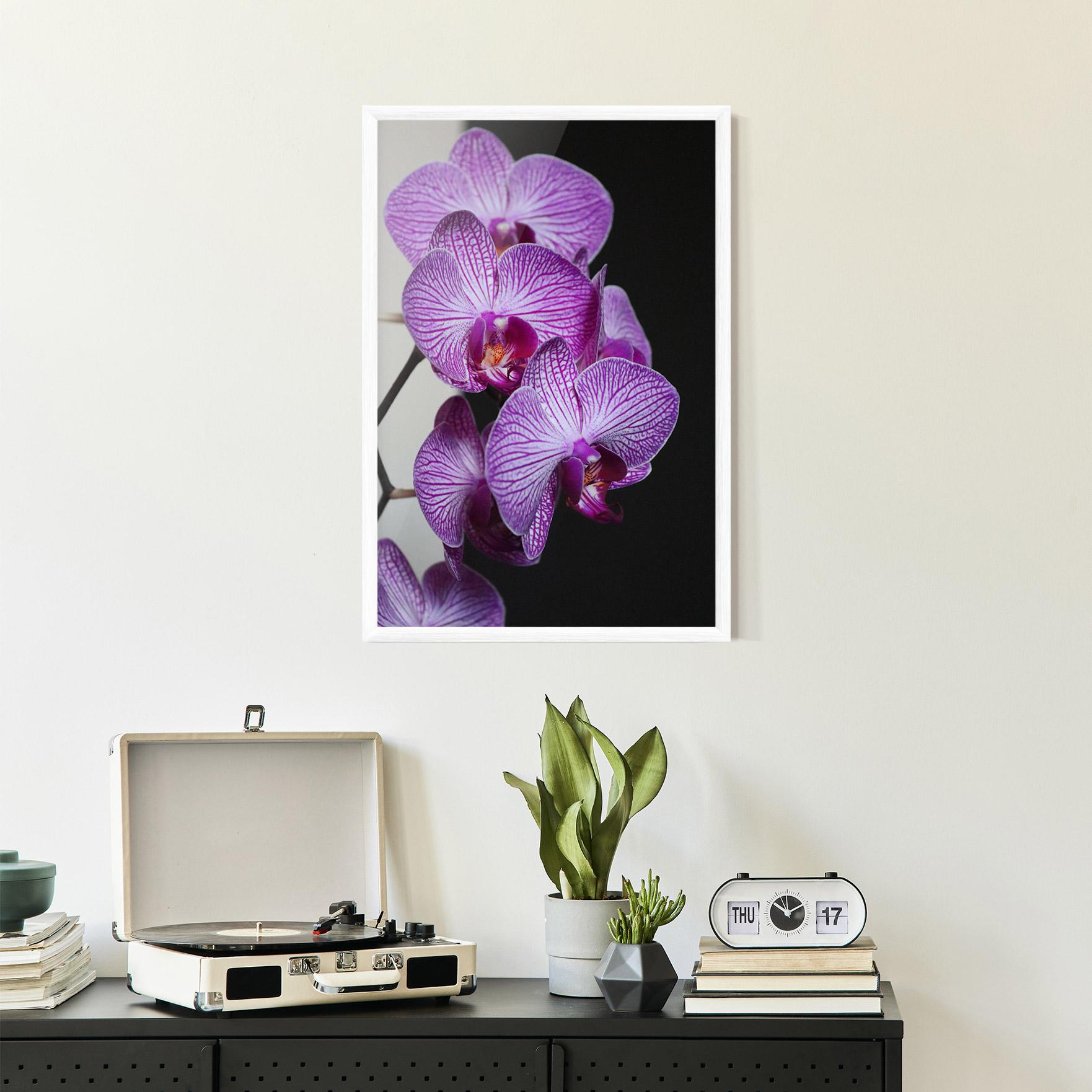 Plakat w Ramie Purple Orchid On Black mockup 2