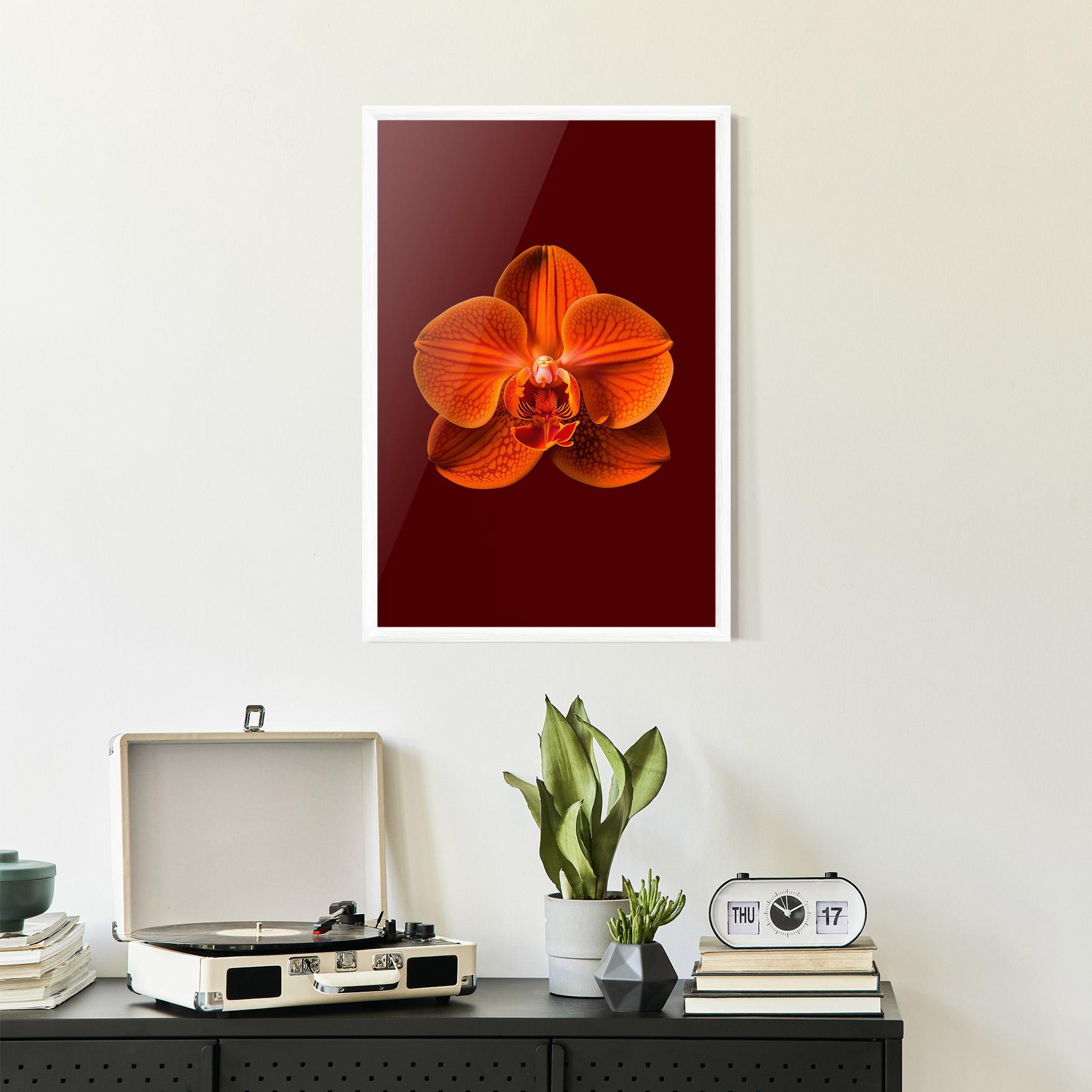 Plakat w Ramie Strong Orange Orchid mockup 2