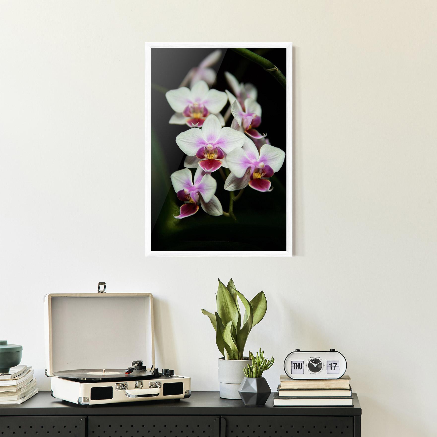 Plakat w Ramie Wild White Purple Orchid mockup 2