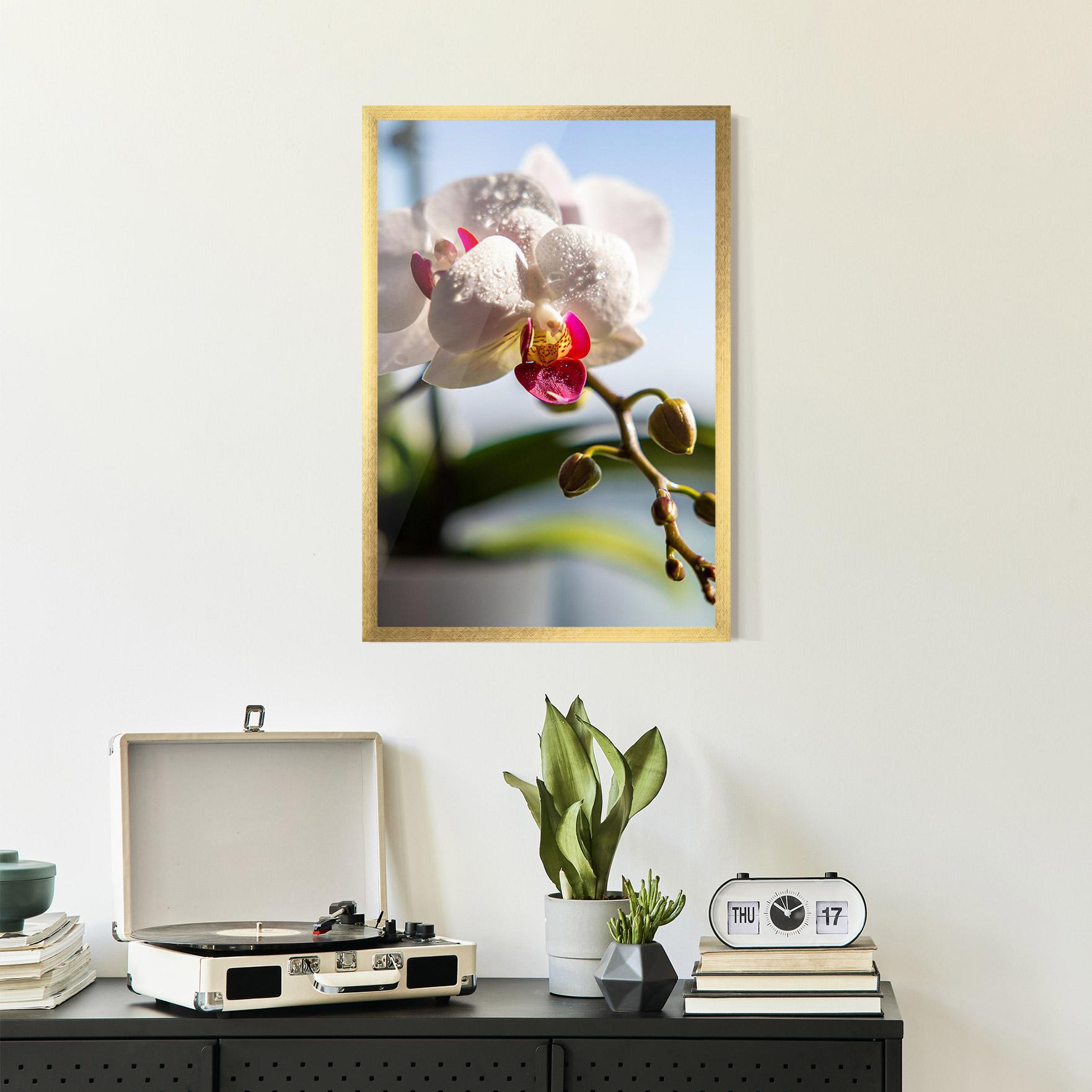 Plakat w Ramie White Orchid With Water mockup 2