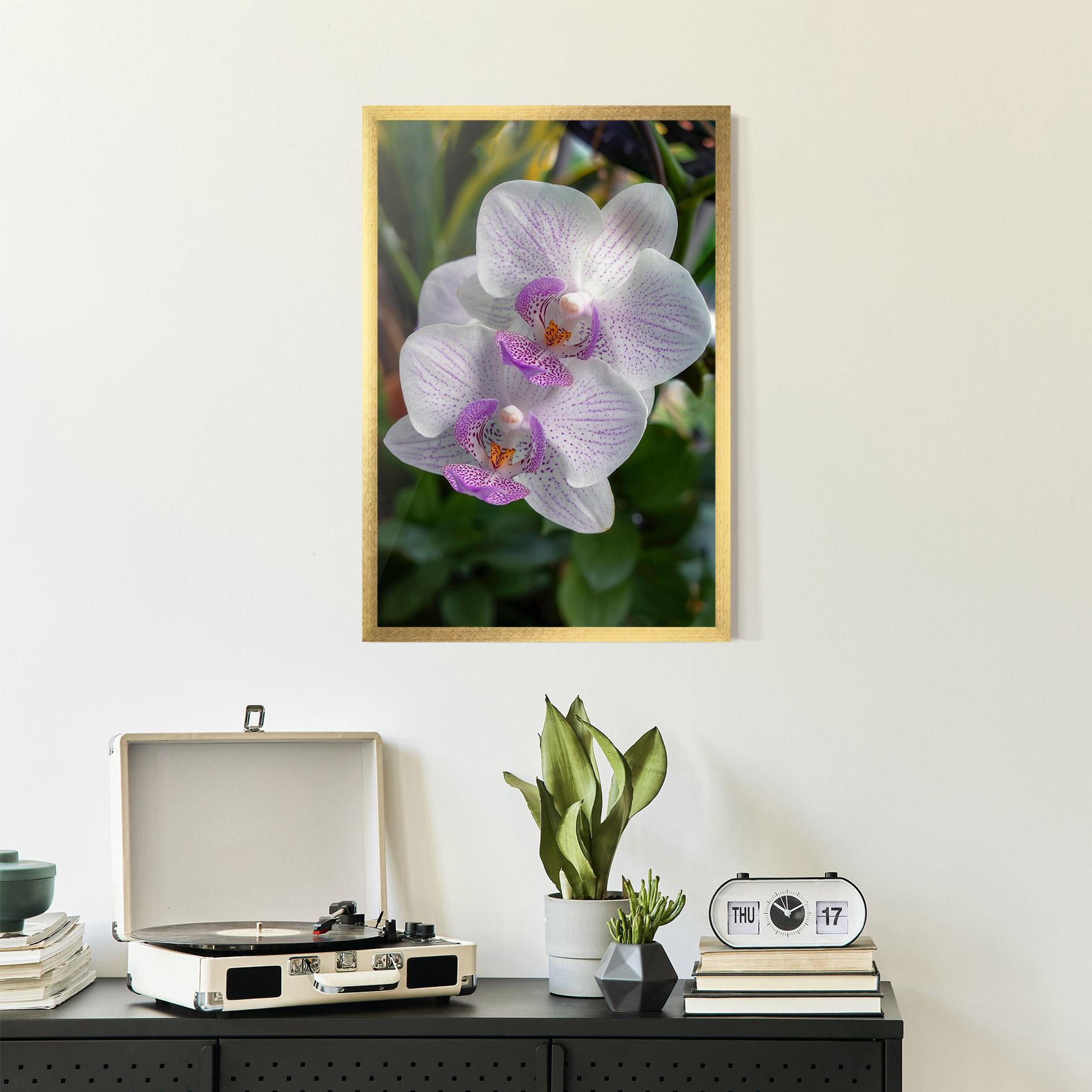 Plakat w Ramie White Orchids mockup 2