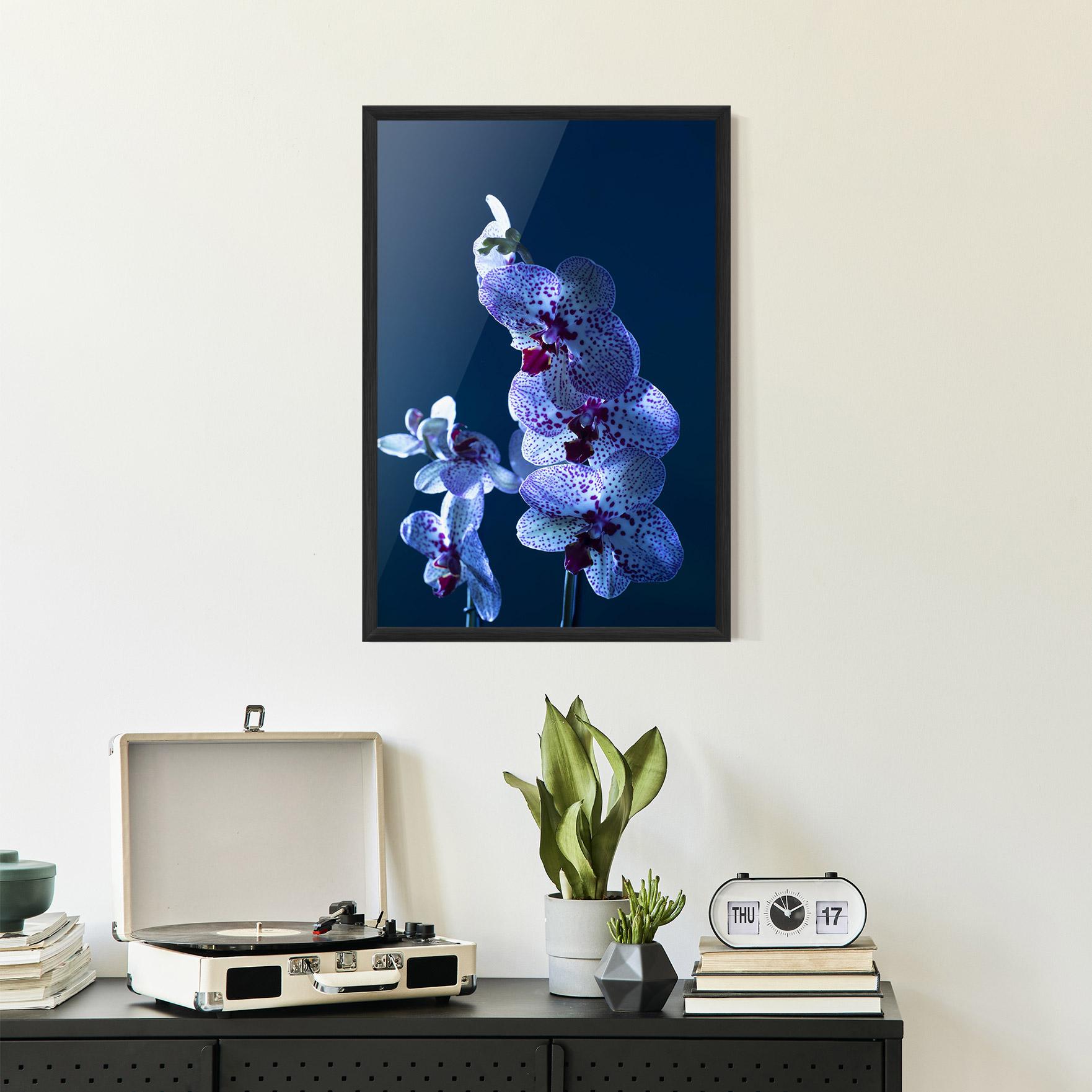 Plakat w Ramie Blue Light Orchid mockup 2