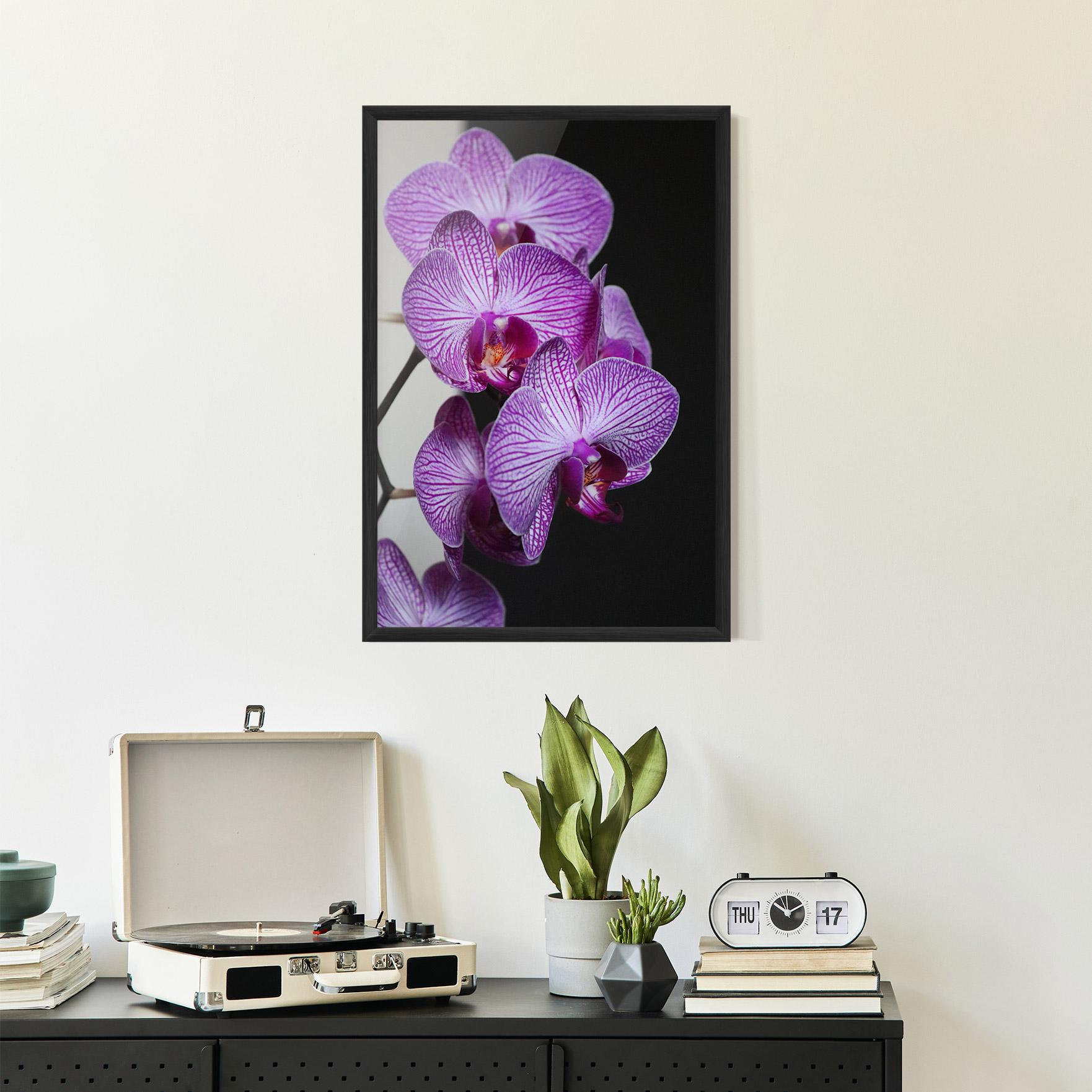 Plakat w Ramie Purple Orchid On Black mockup 2