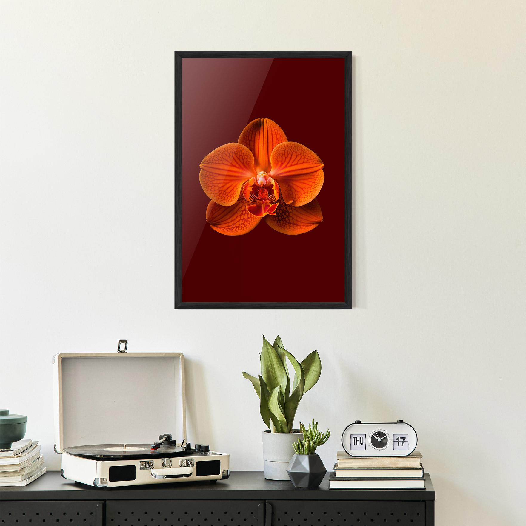 Plakat w Ramie Strong Orange Orchid mockup 2