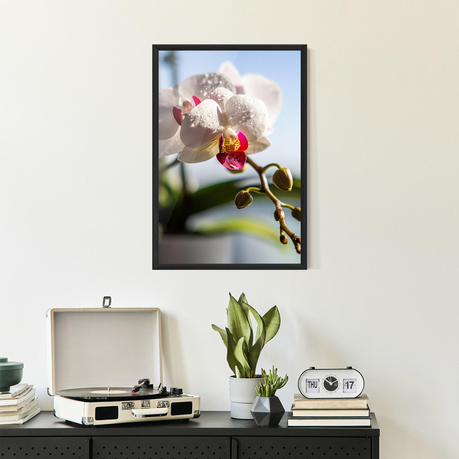 Plakat w Ramie White Orchid With Water mockup 2